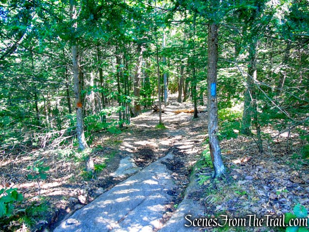 Blue Trail – Little-Laurel Lime Ridge Park