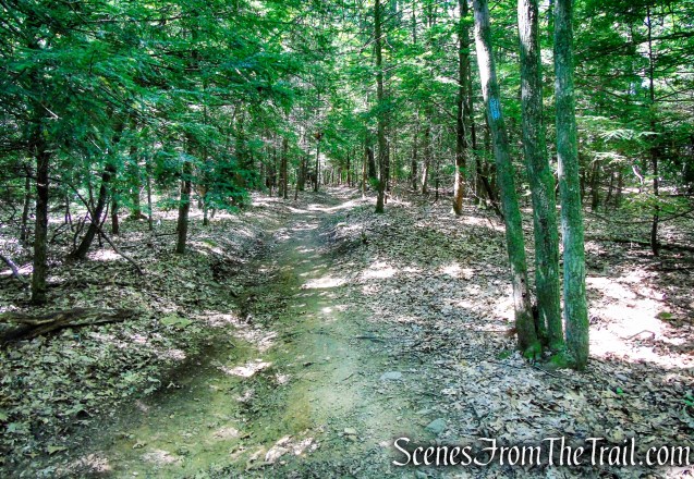 Blue Trail – Little-Laurel Lime Ridge Park