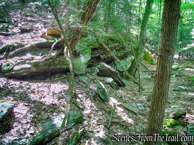 Blue Trail – Little-Laurel Lime Ridge Park