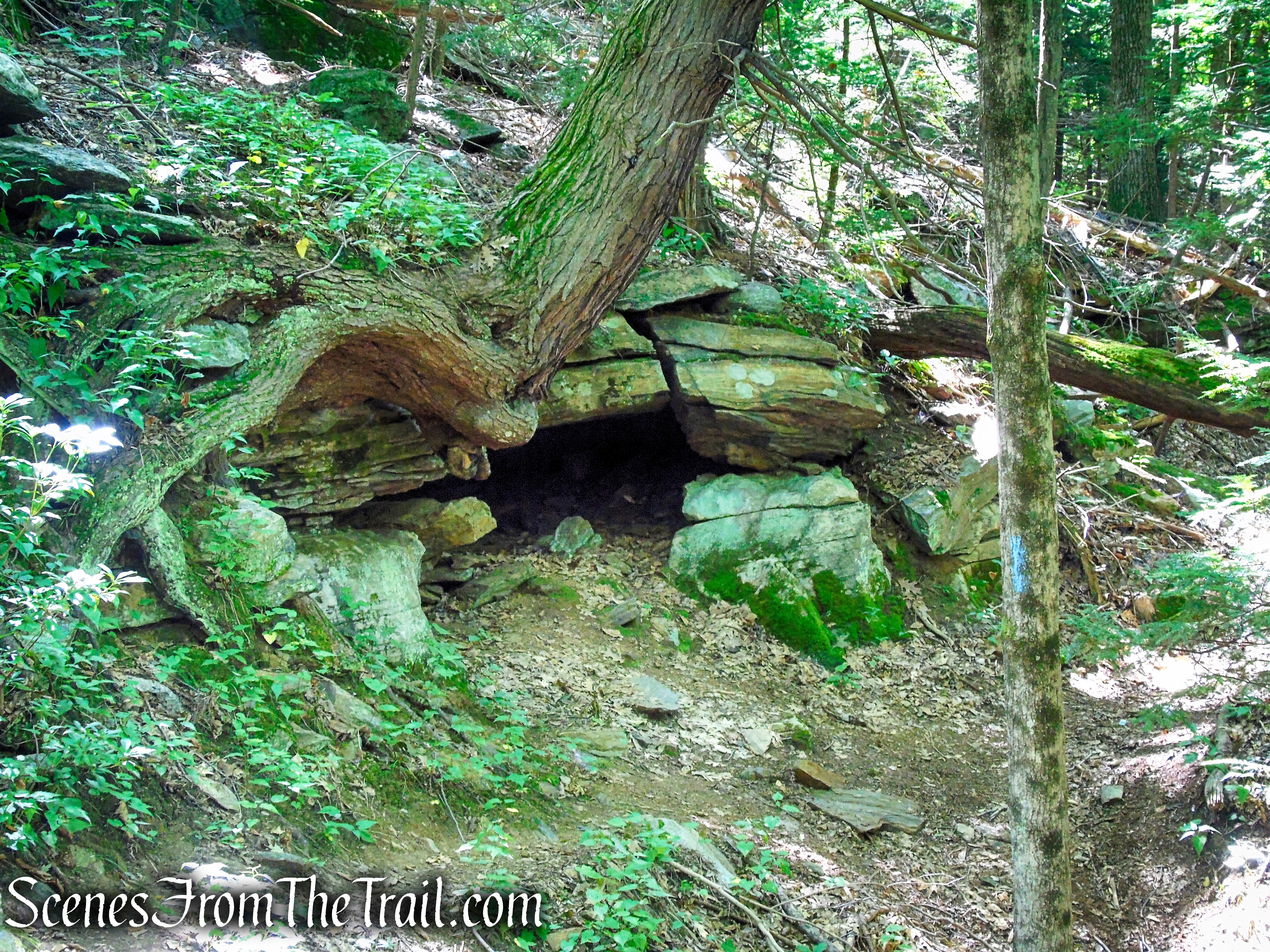 Blue Trail – Little-Laurel Lime Ridge Park