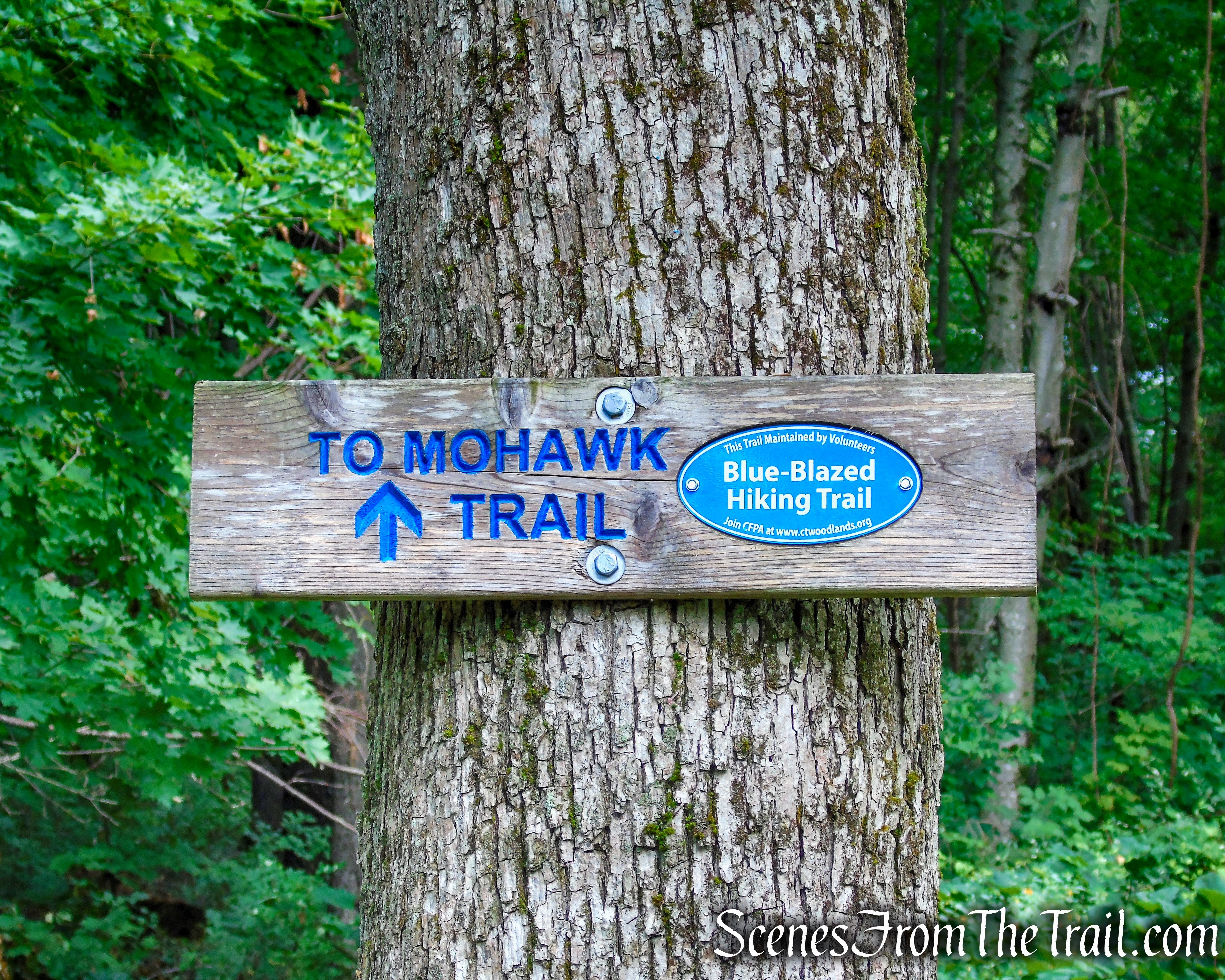 Mohawk Trail - Mohawk State Forest