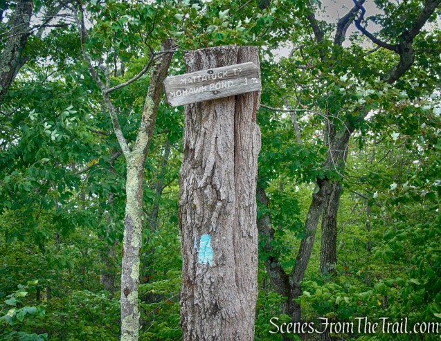 Mattatuck Trail - Mohawk State Forest