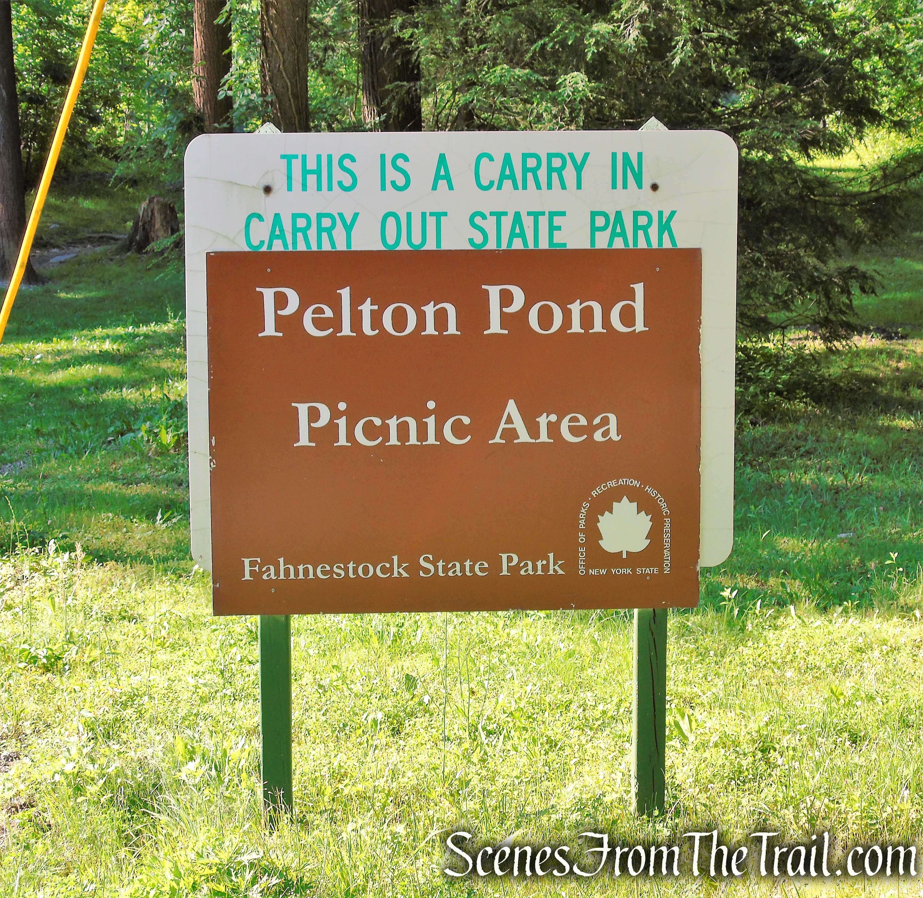 Pelton Pond Picnic Area - Fahnestock State Park