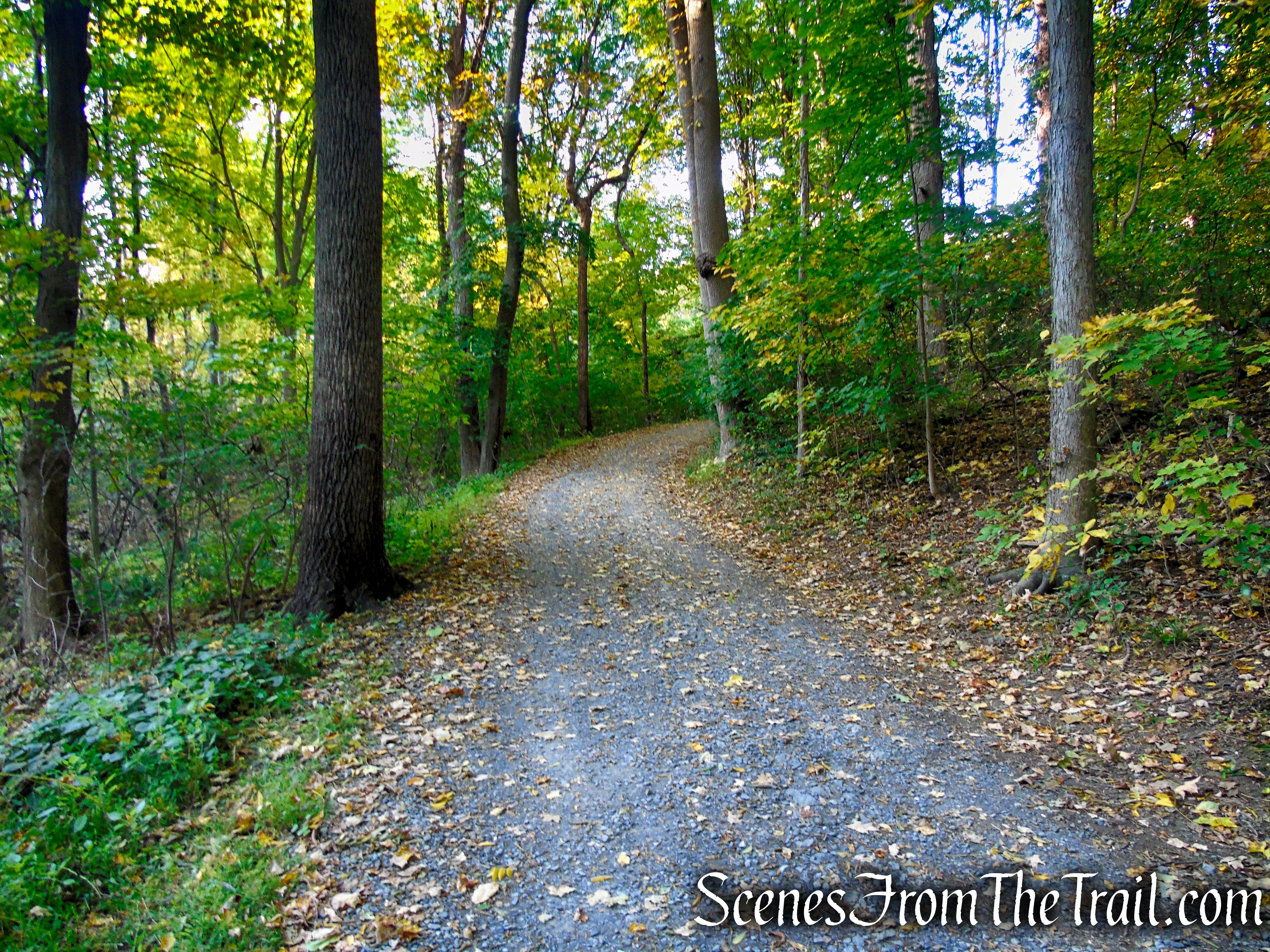 Yellow Circle Trail - Ferncliff Forest