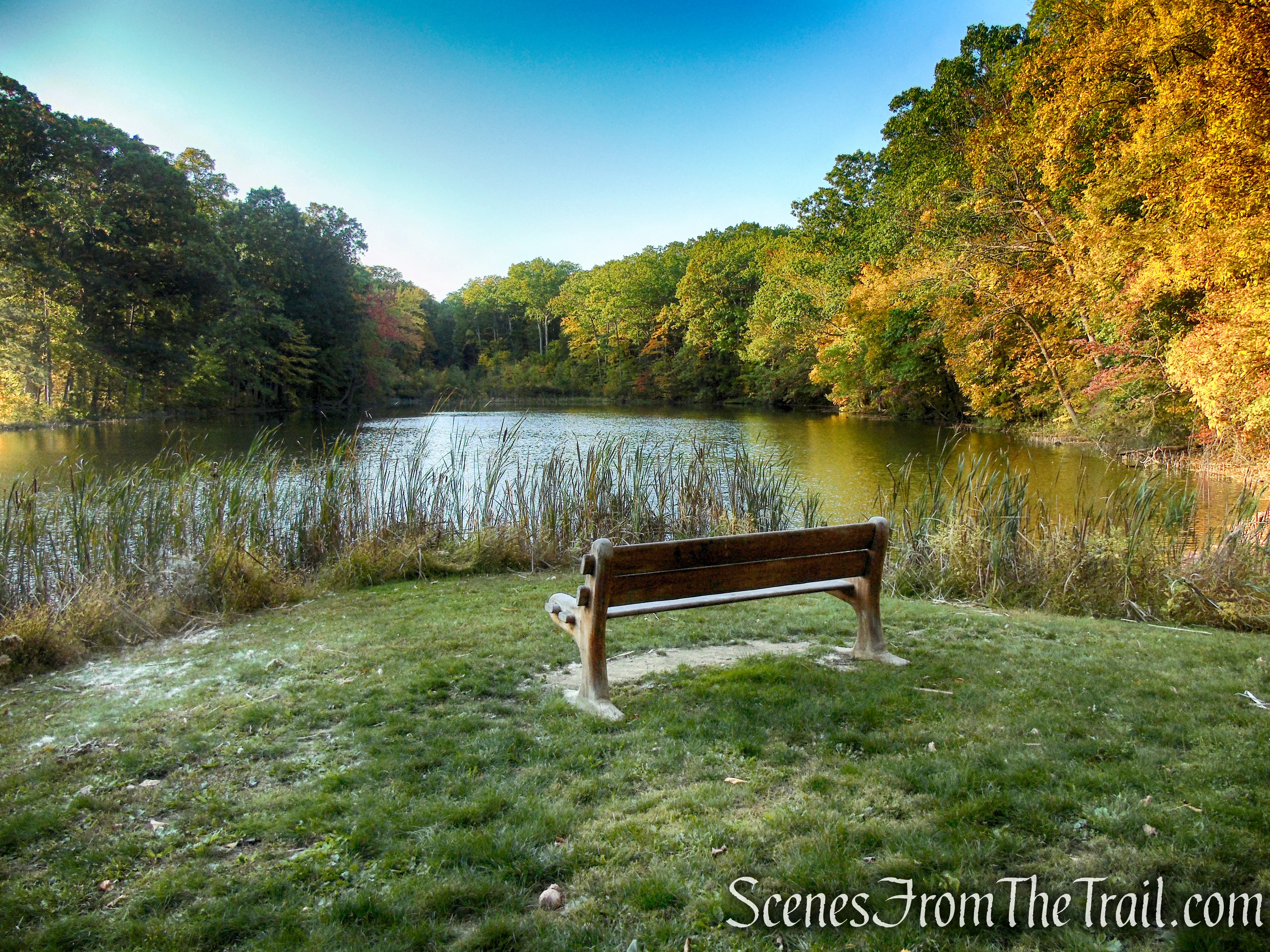 Mt. Rutsen Pond - Ferncliff Forest