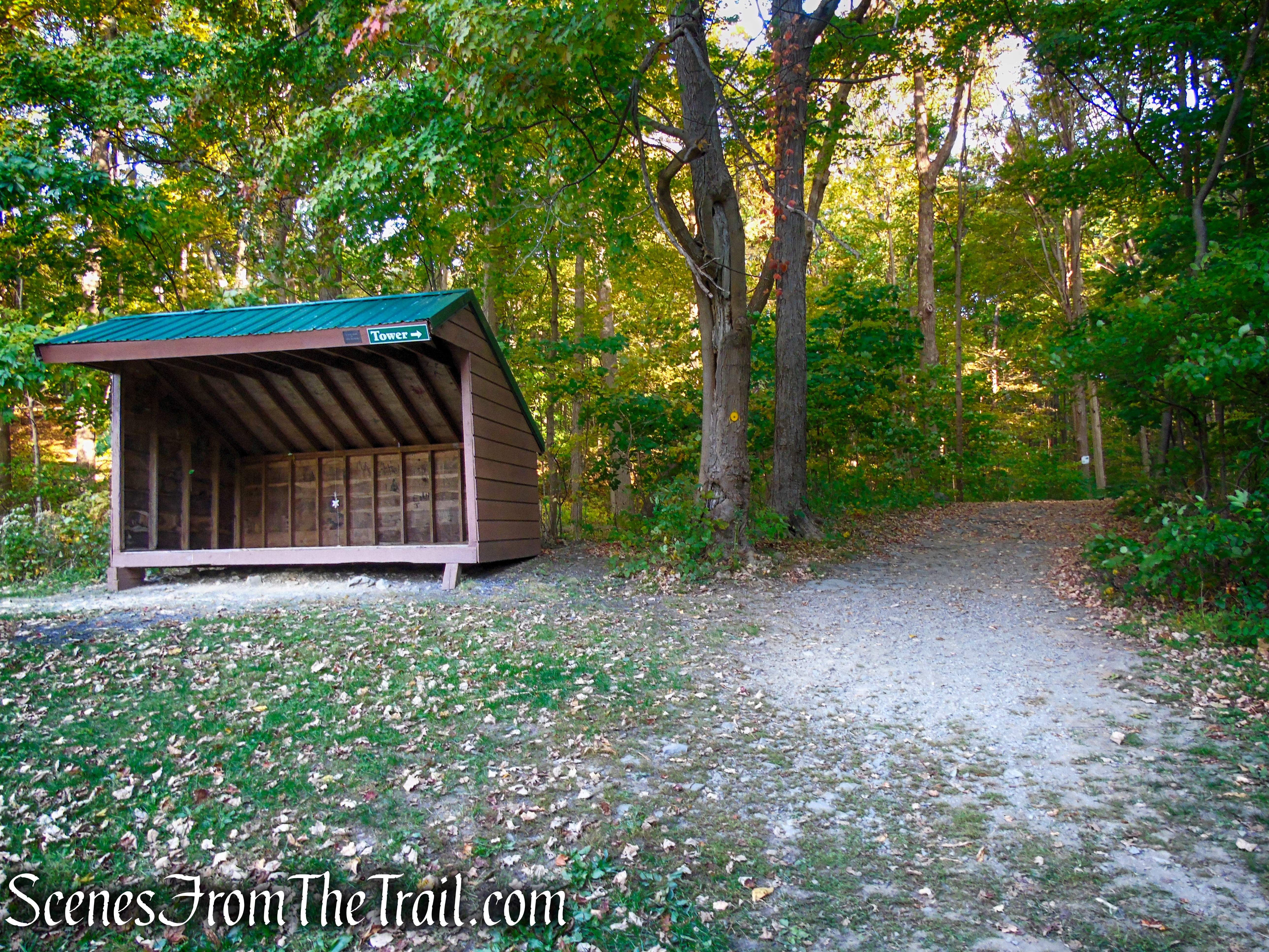 Yellow Circle Trail - Ferncliff Forest