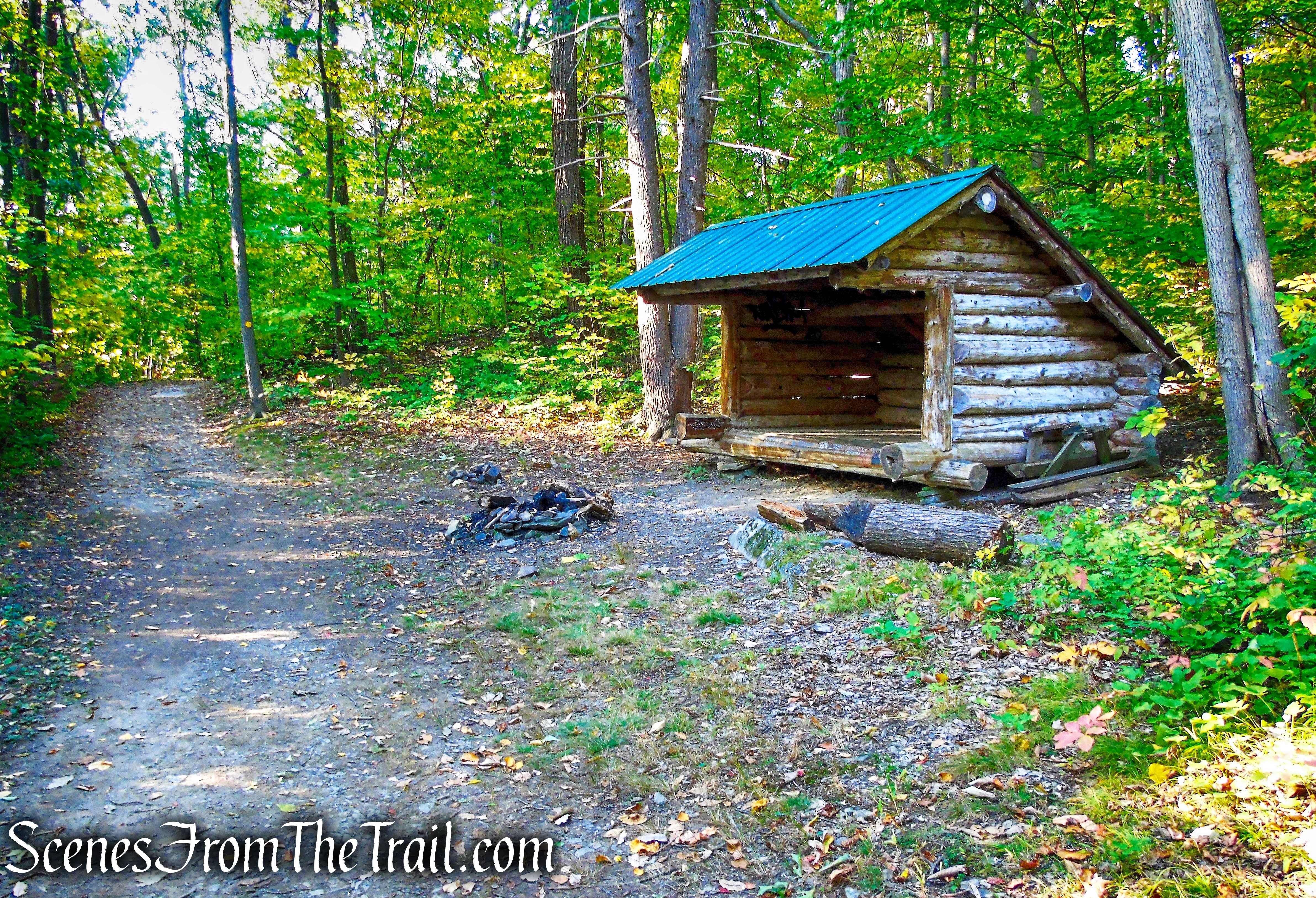 Yellow Circle Trail - Ferncliff Forest