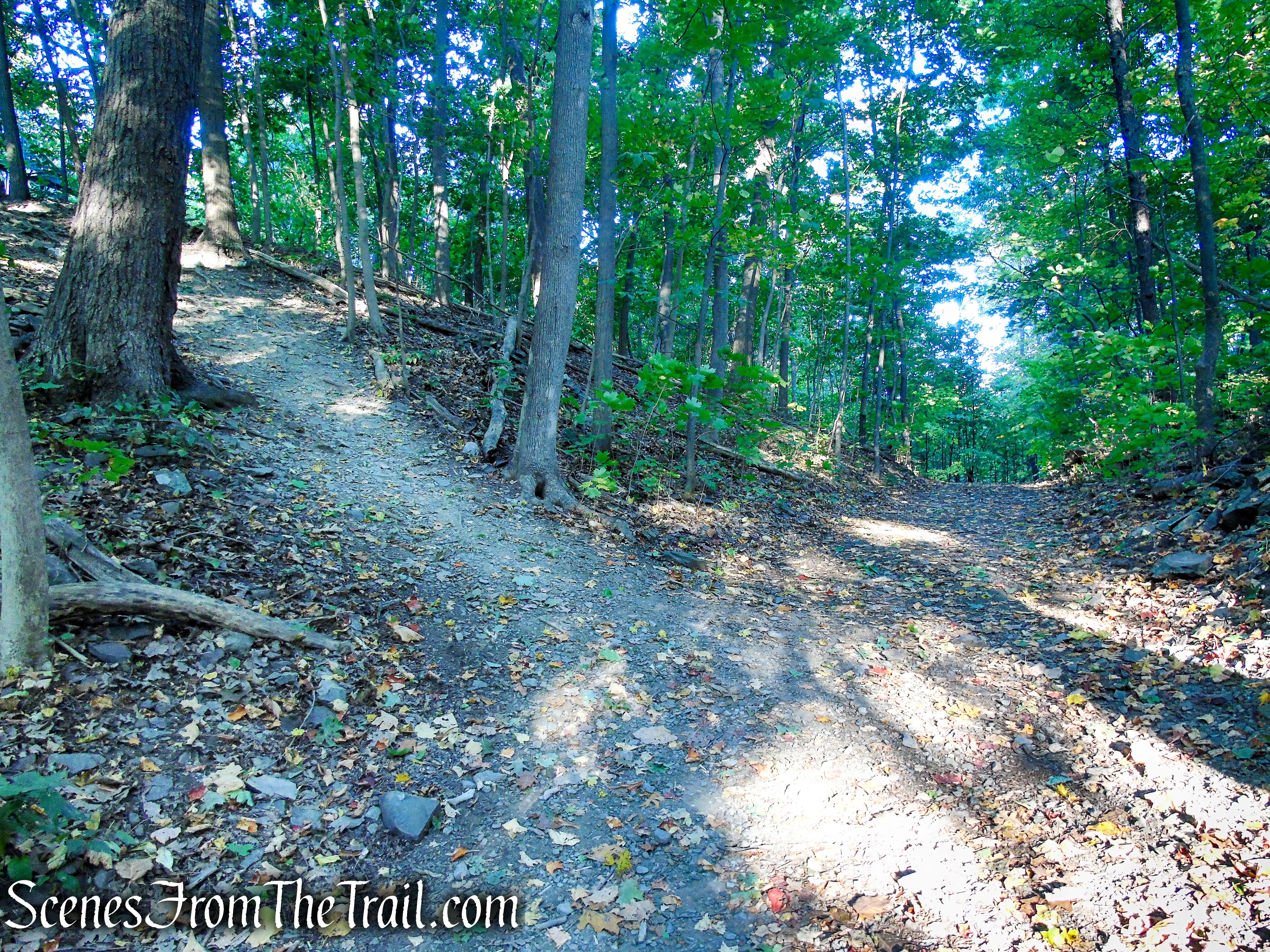 veer left on footpath