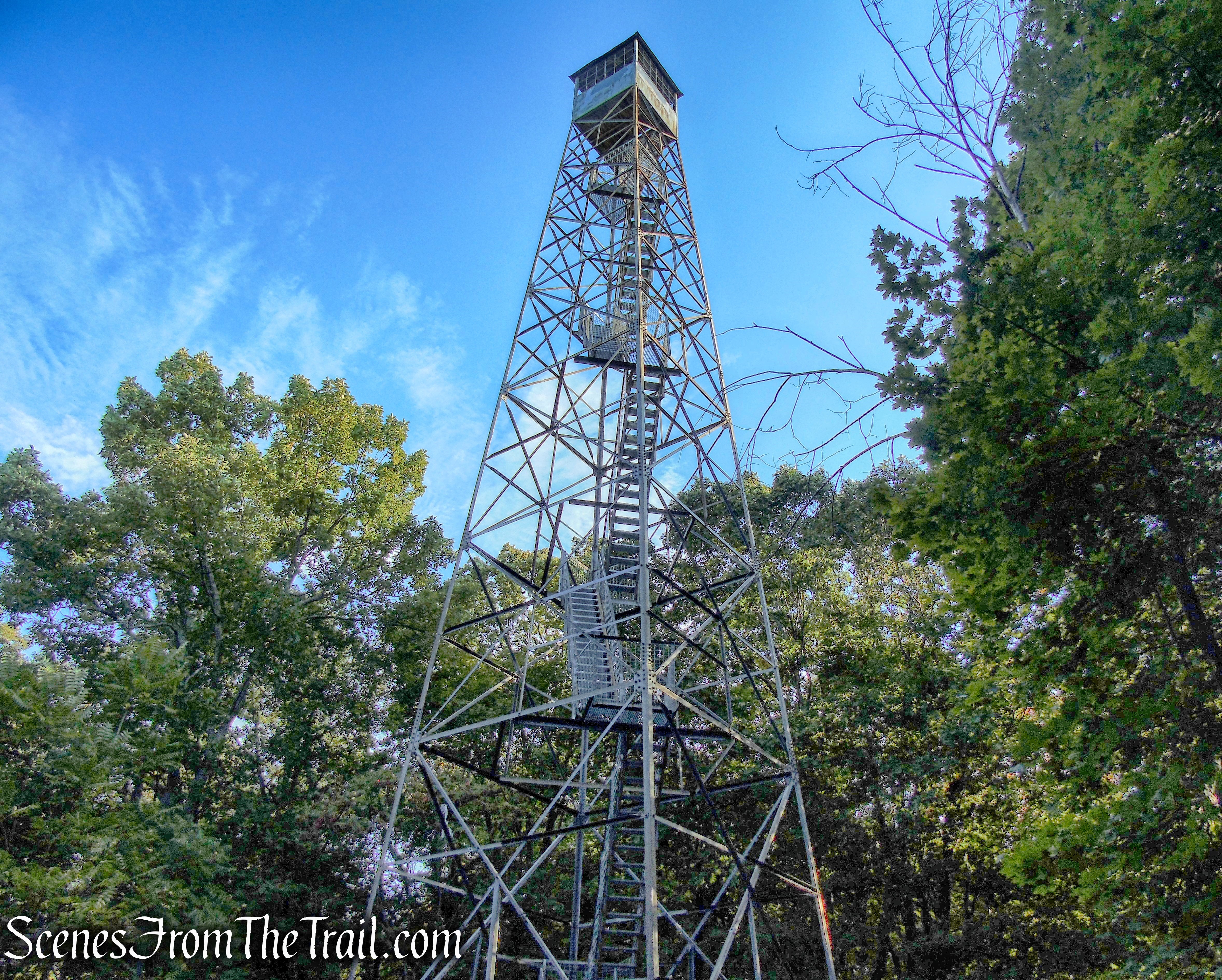 Ferncliff Forest Fire Tower