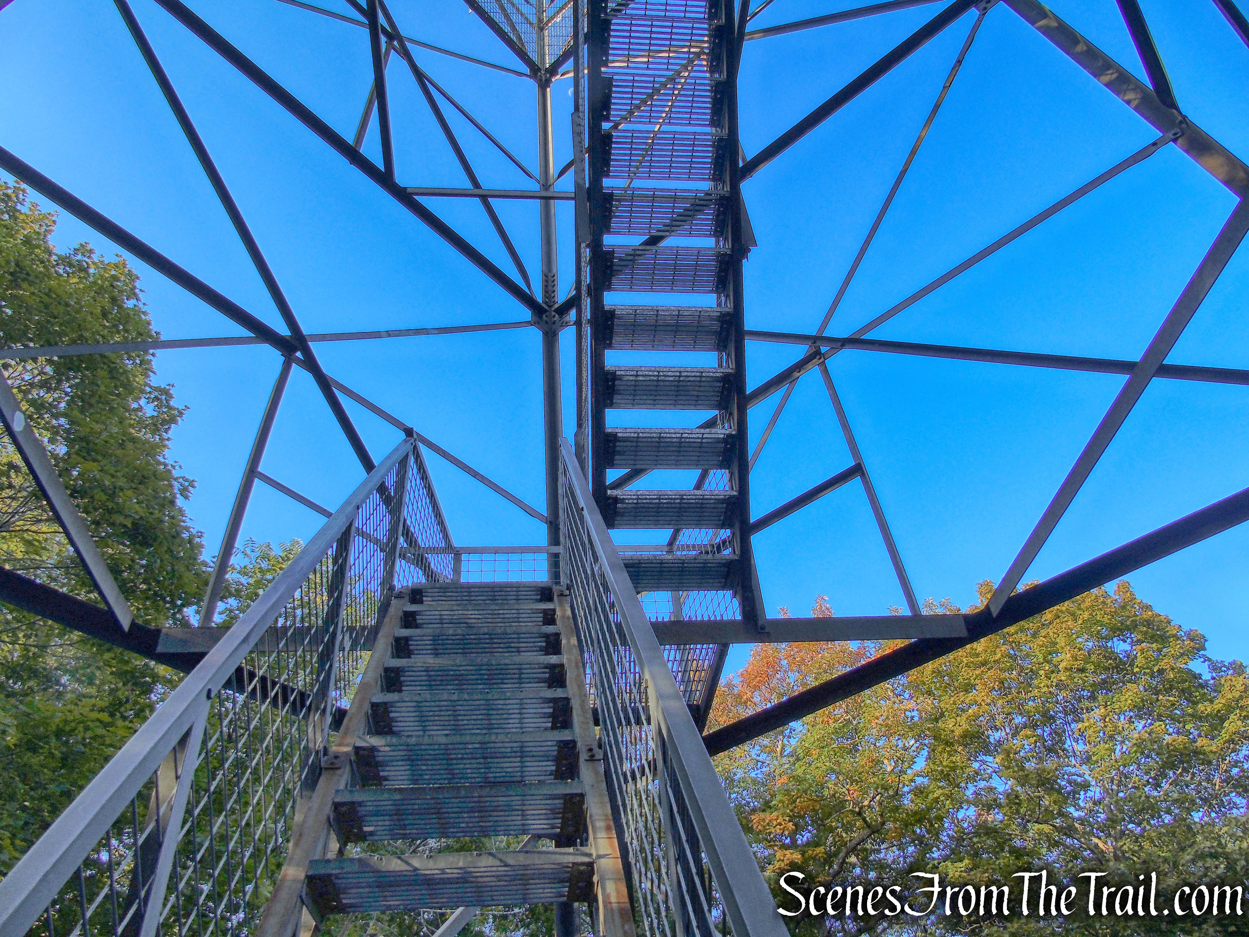 Ferncliff Forest Fire Tower