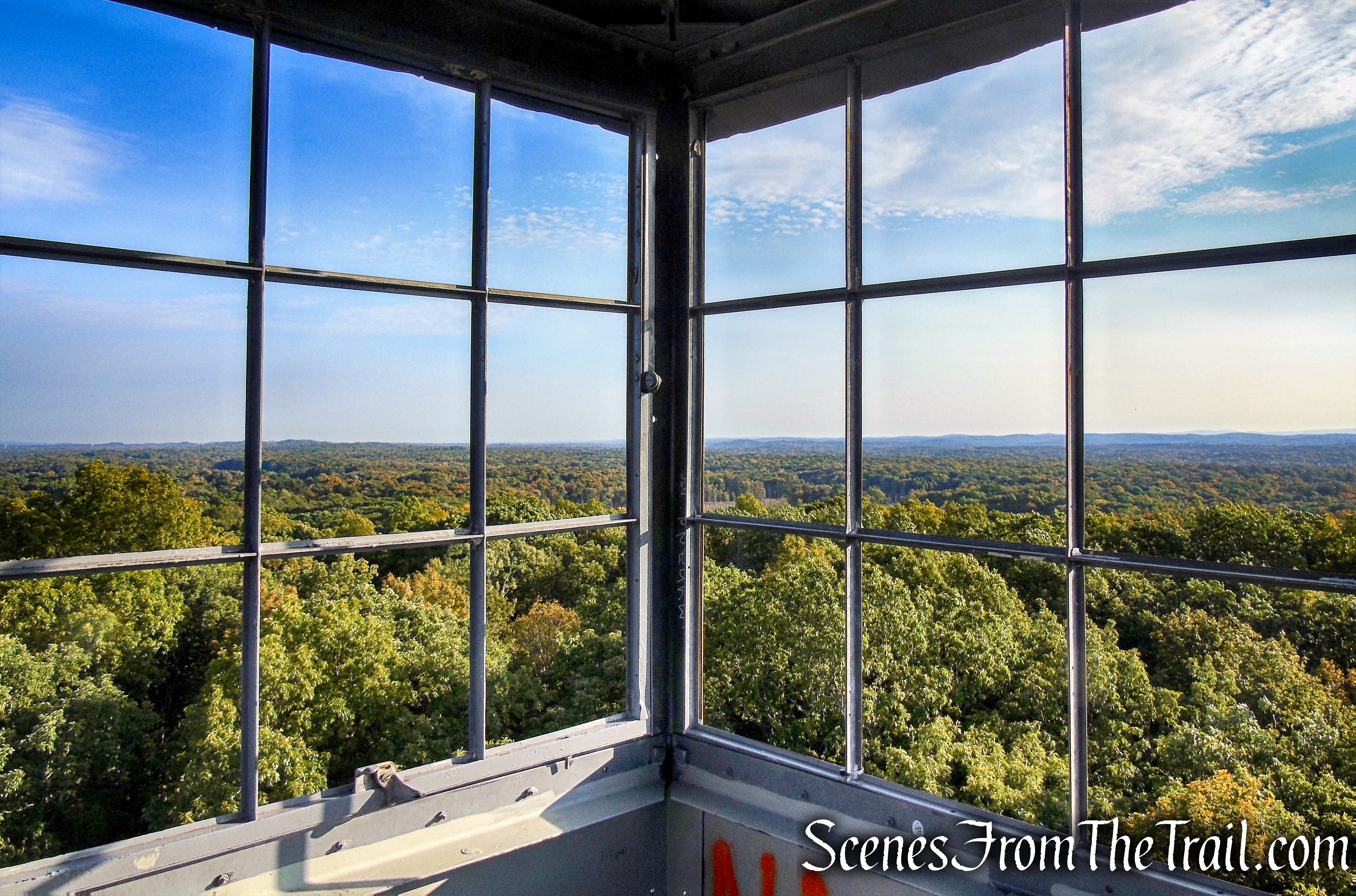 Looking northeast – Ferncliff Forest Fire Tower