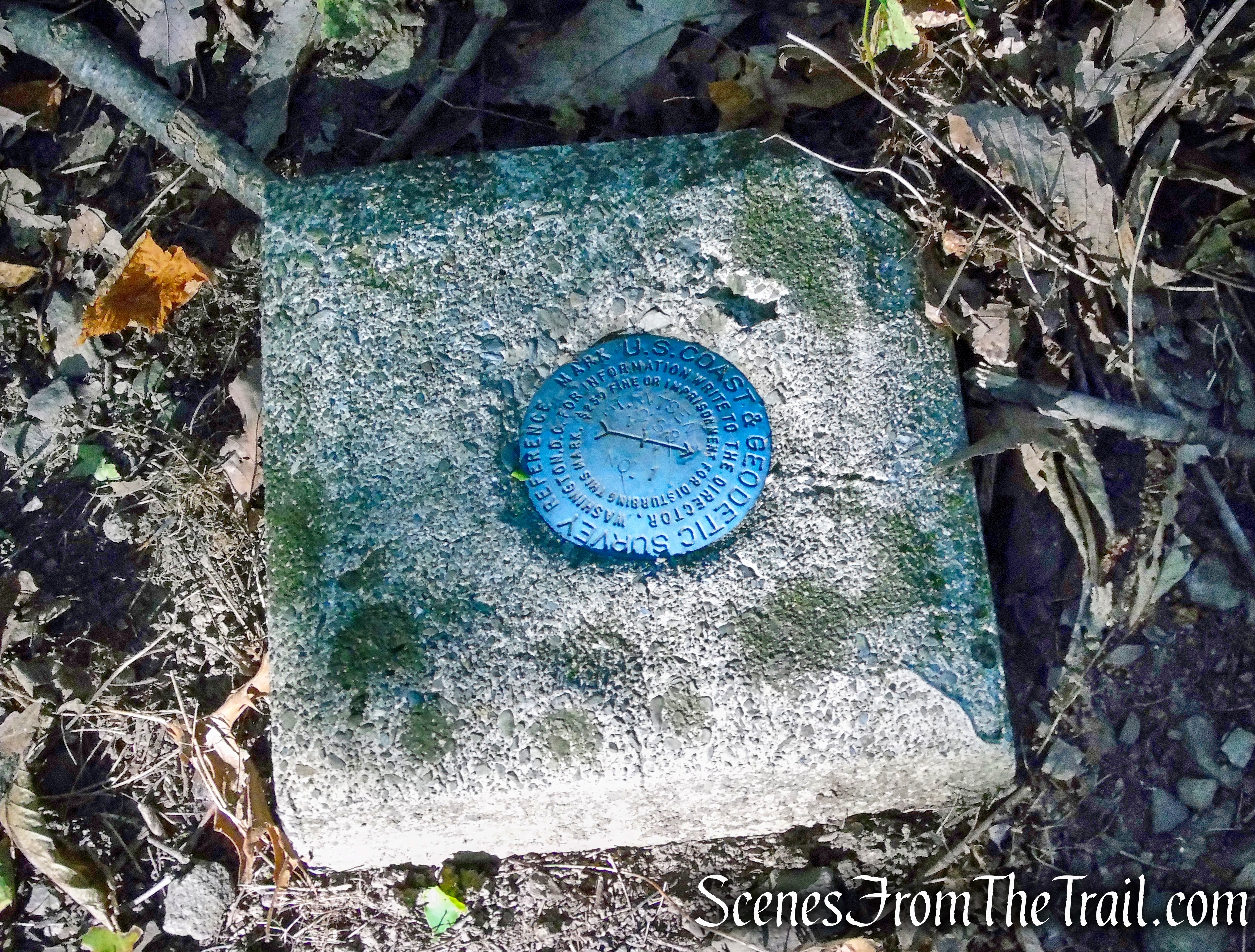 Yellow Circle Trail - Ferncliff Forest