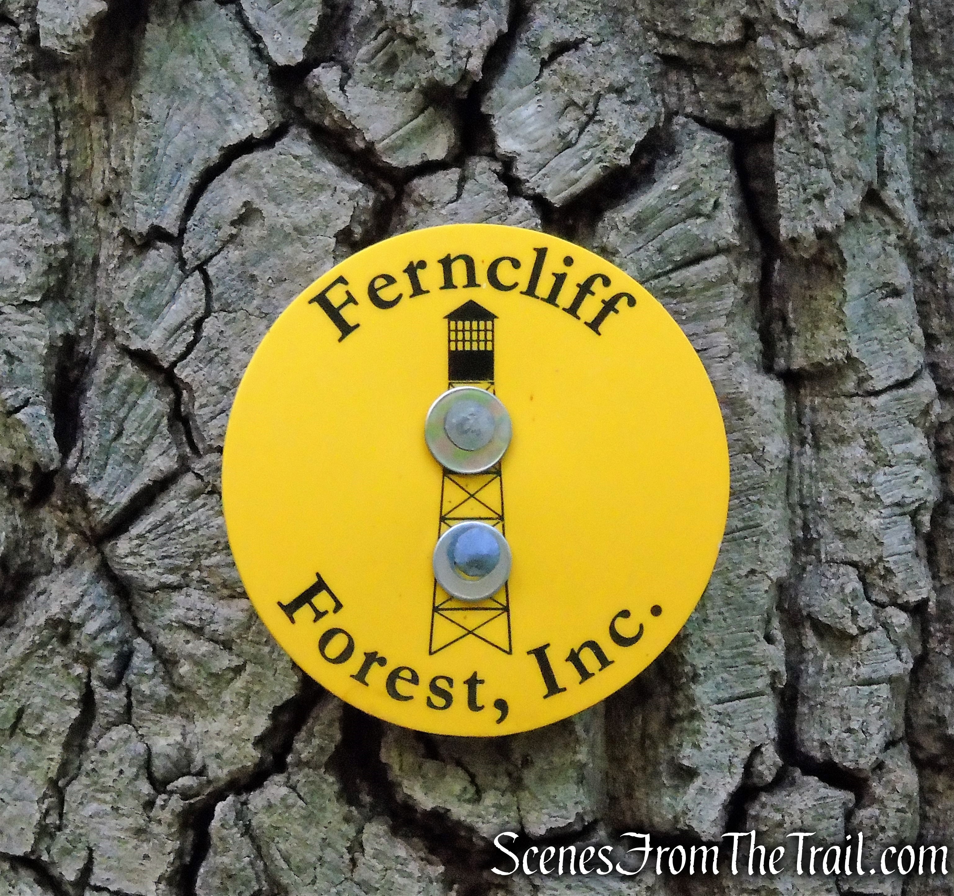 Yellow Circle Trail - Ferncliff Forest