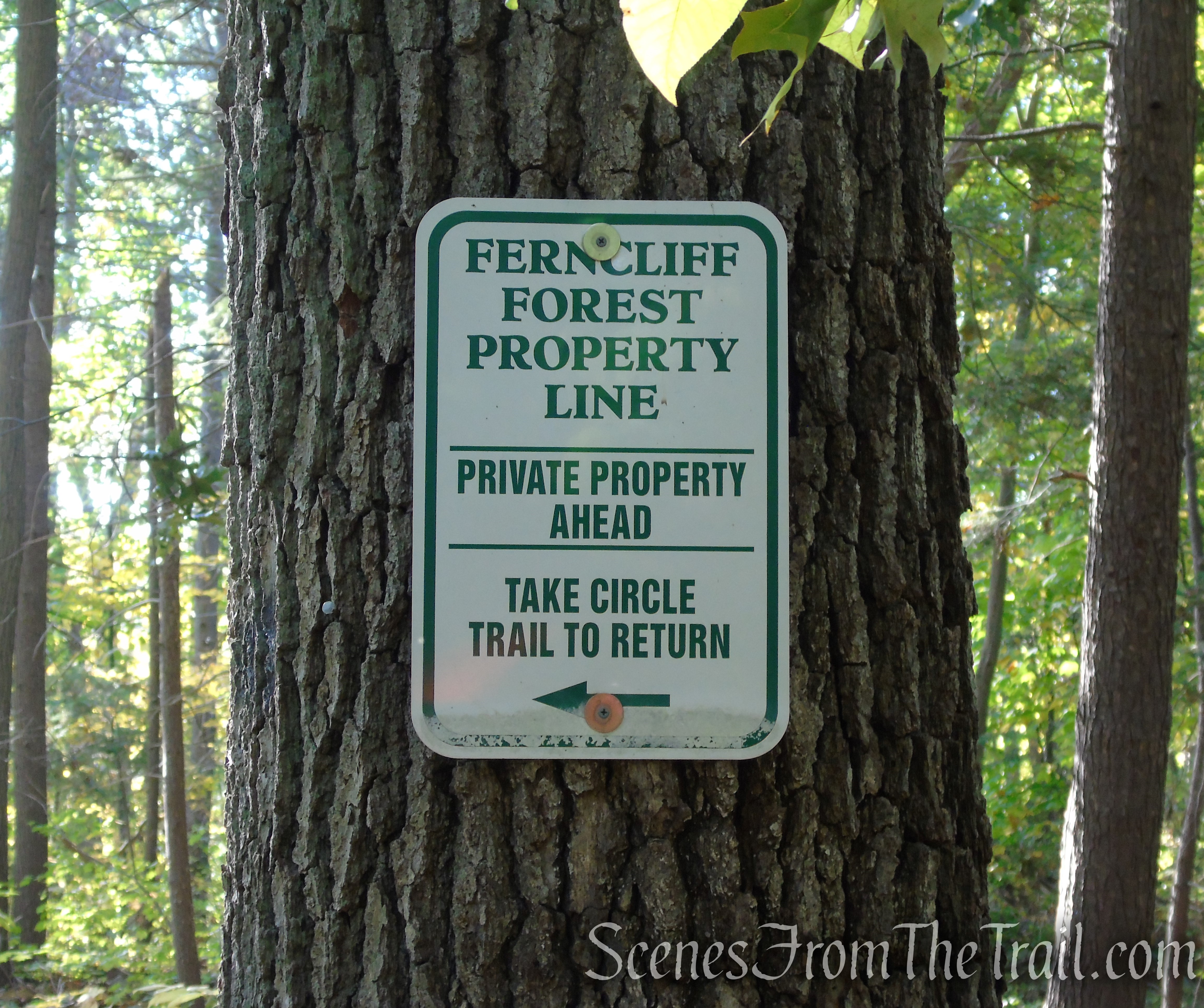 Yellow Circle Trail - Ferncliff Forest