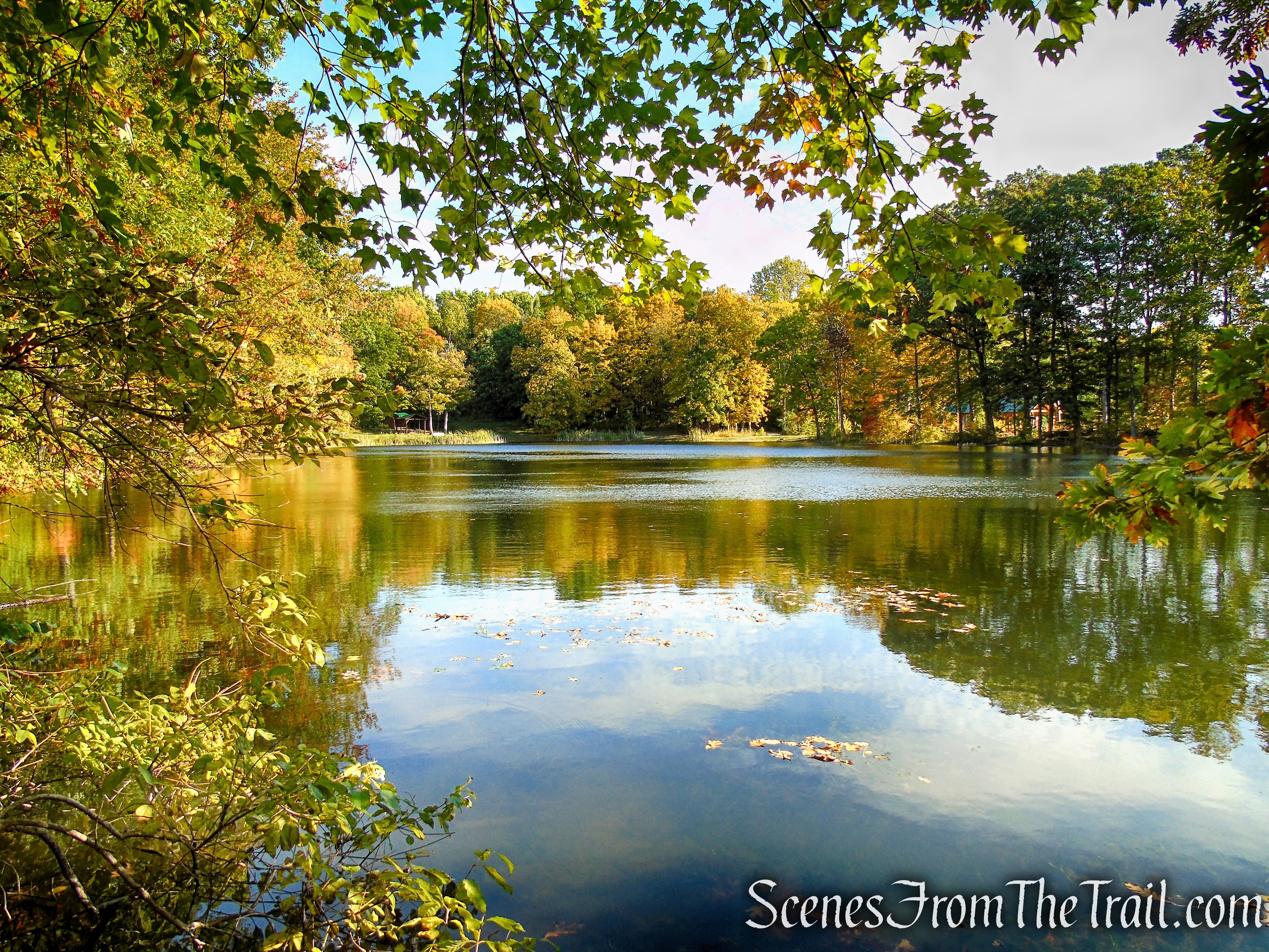 Mt. Rutsen Pond - Ferncliff Forest