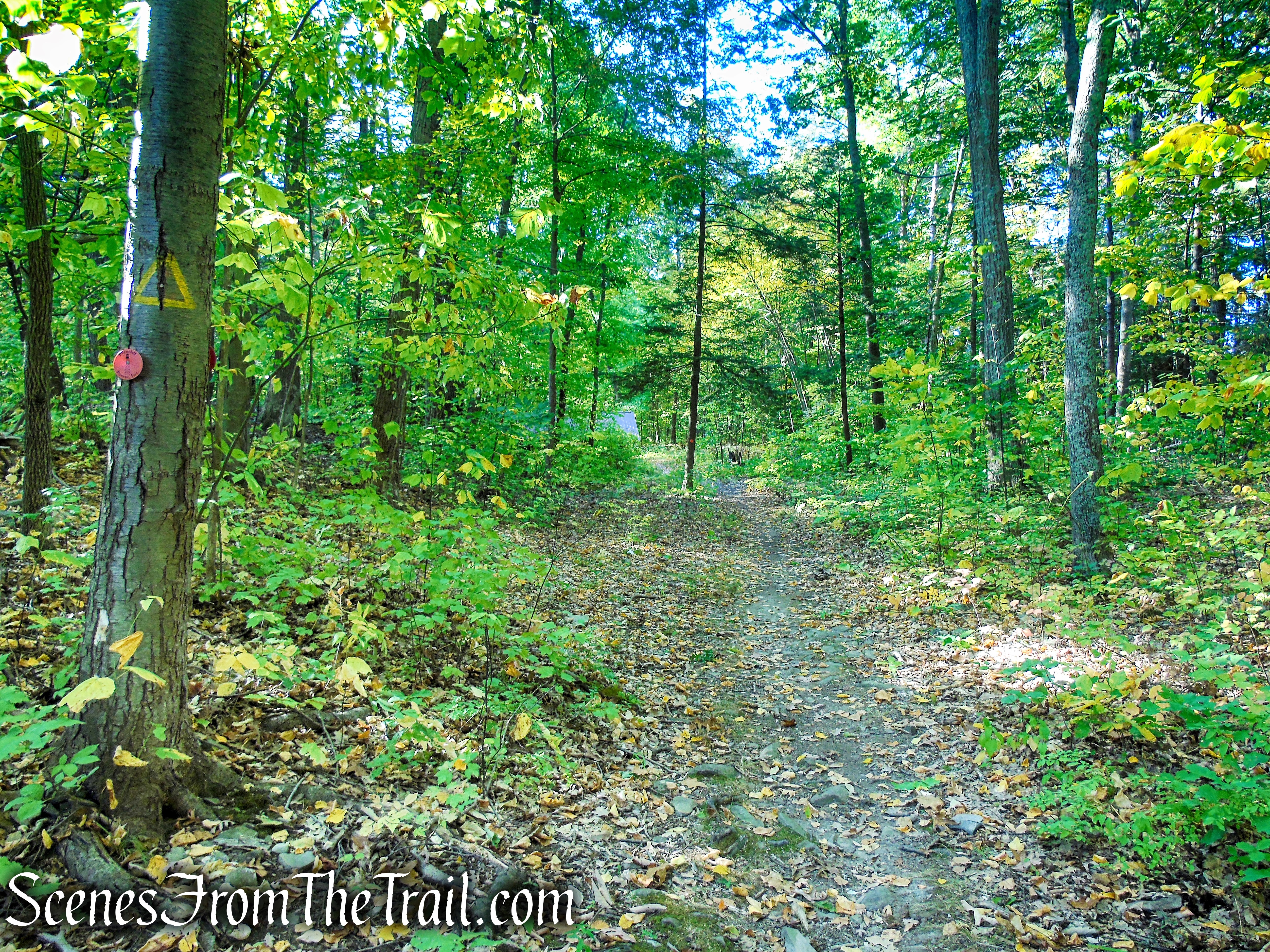 Orange Trail - Ferncliff Forest