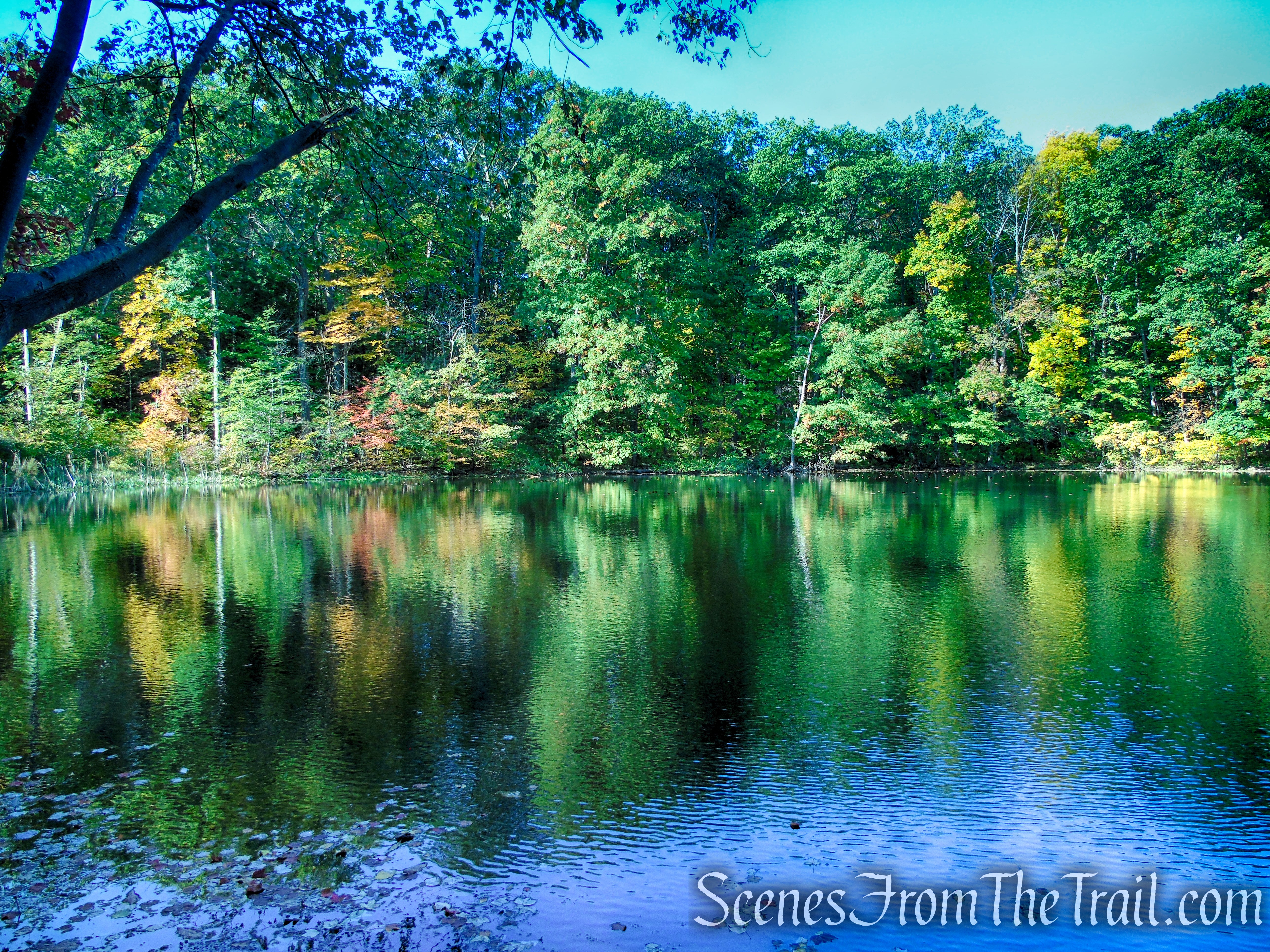 Mt. Rutsen Pond - Ferncliff Forest