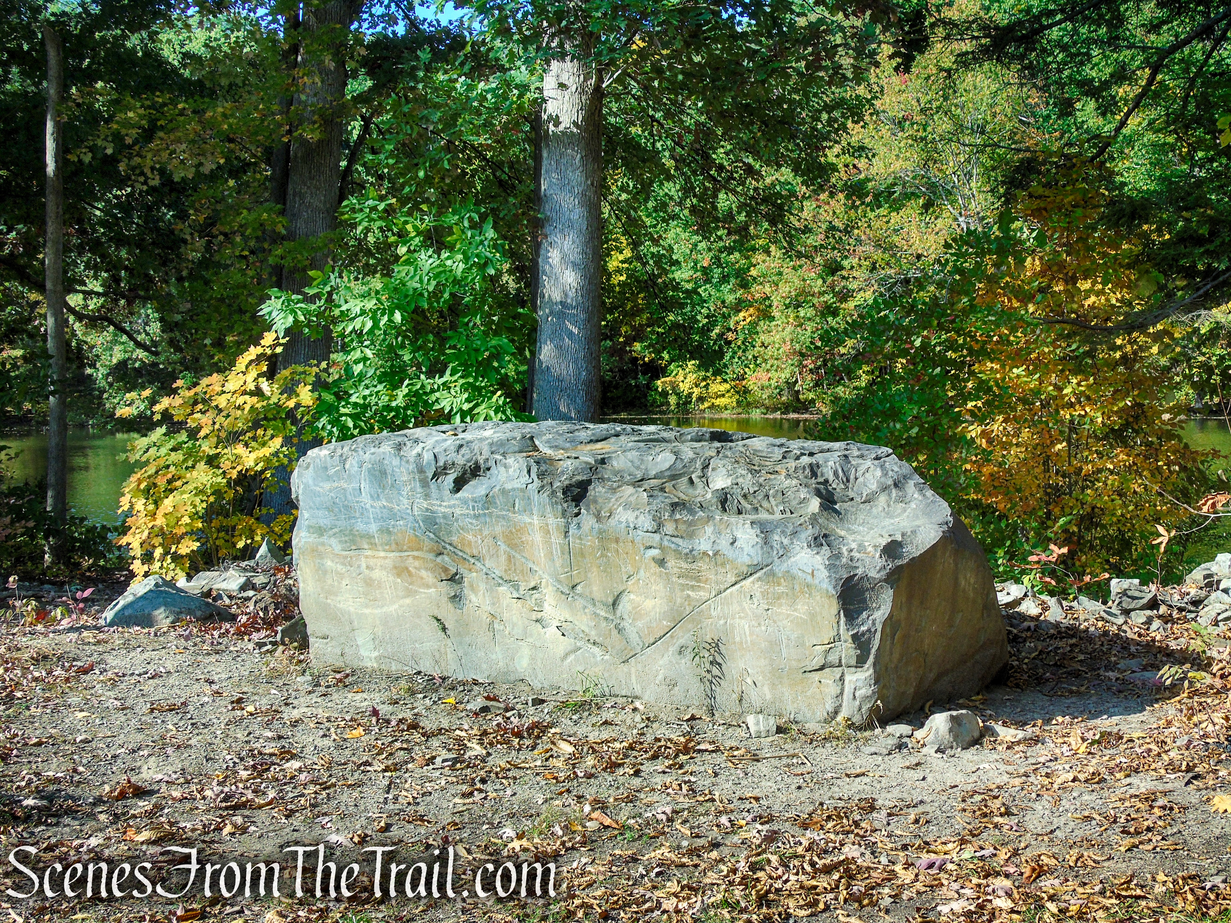 White Trail - Ferncliff Forest