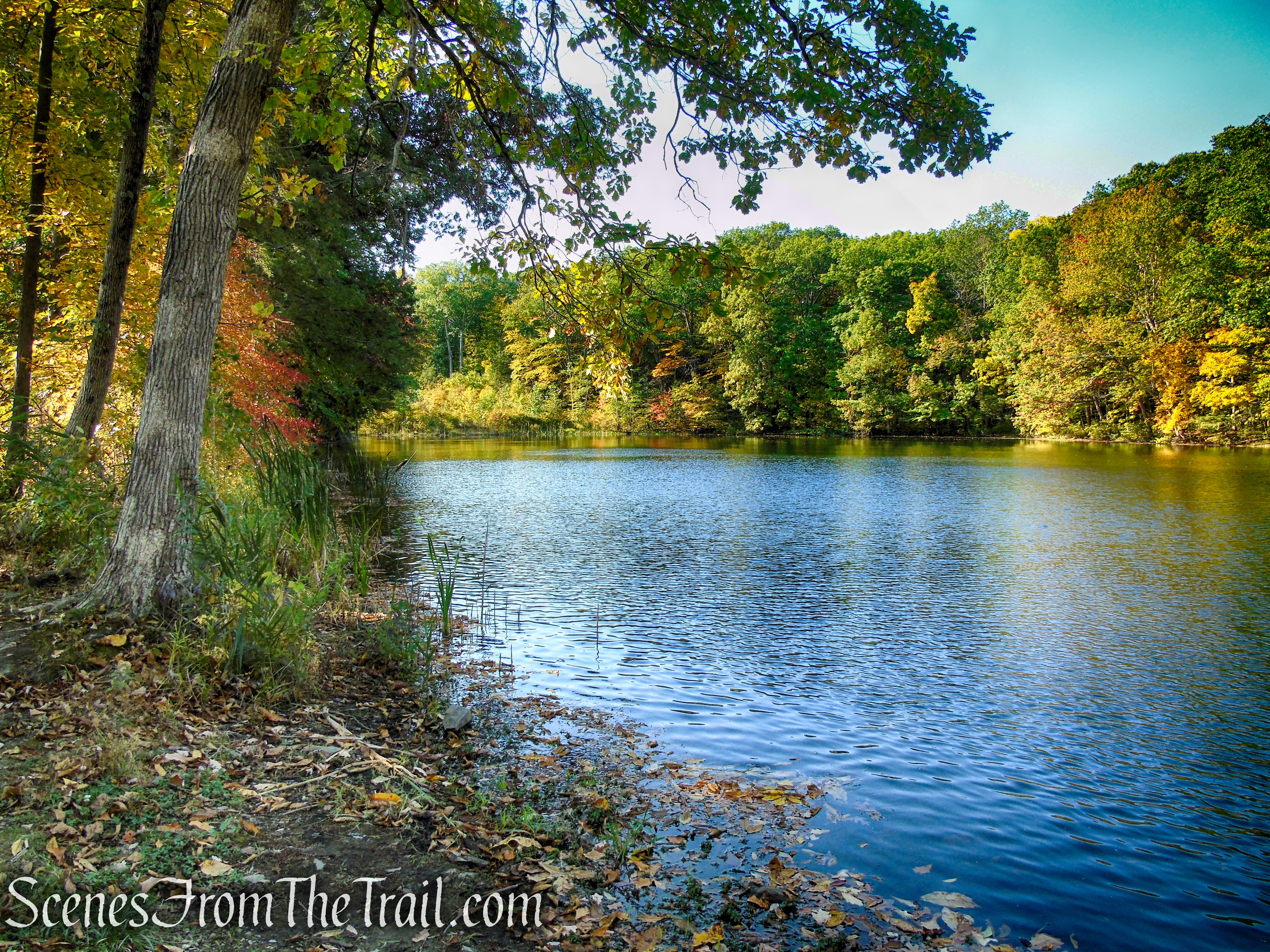 Mt. Rutsen Pond - Ferncliff Forest