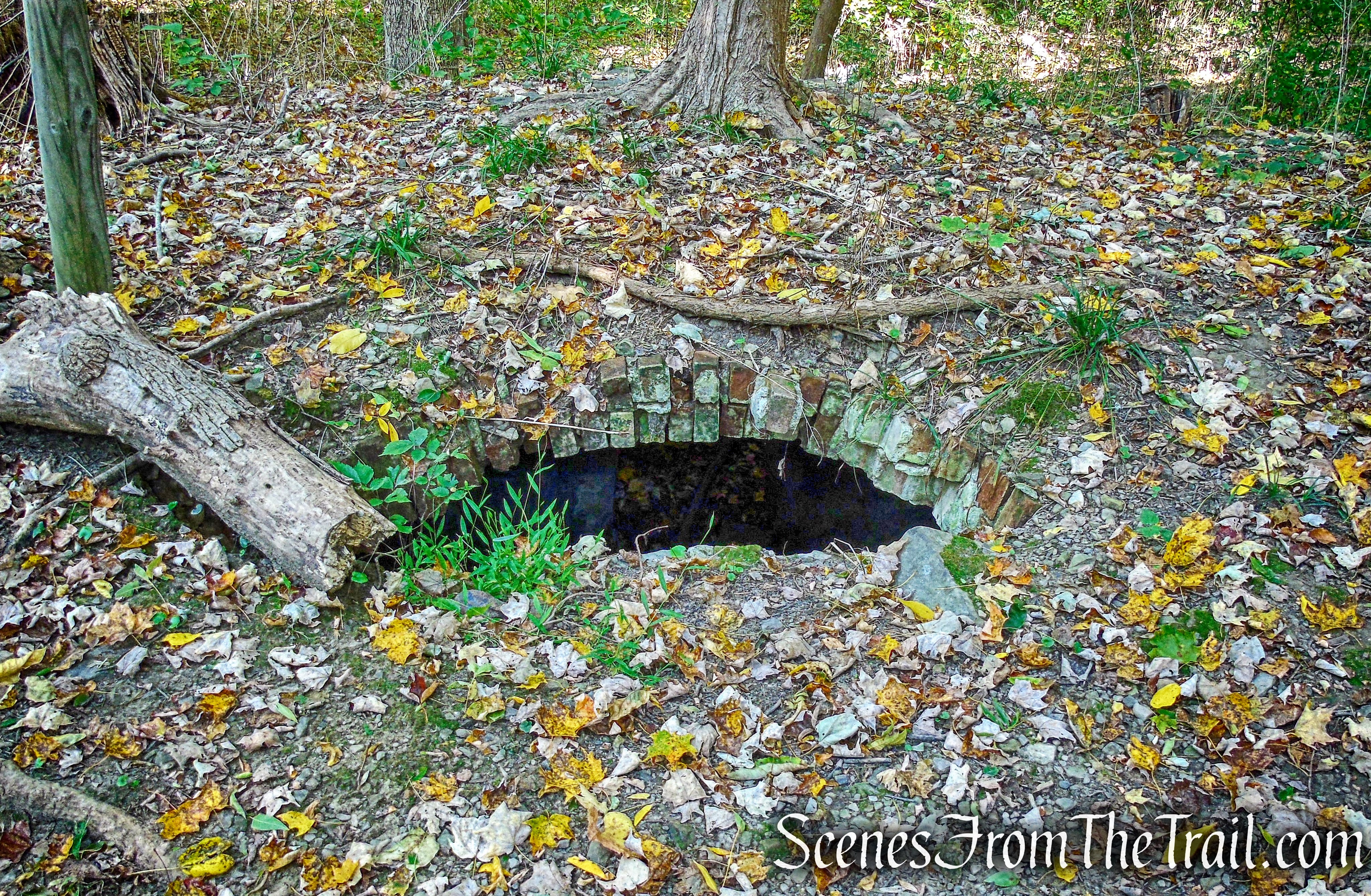 root cellar - Ferncliff Forest