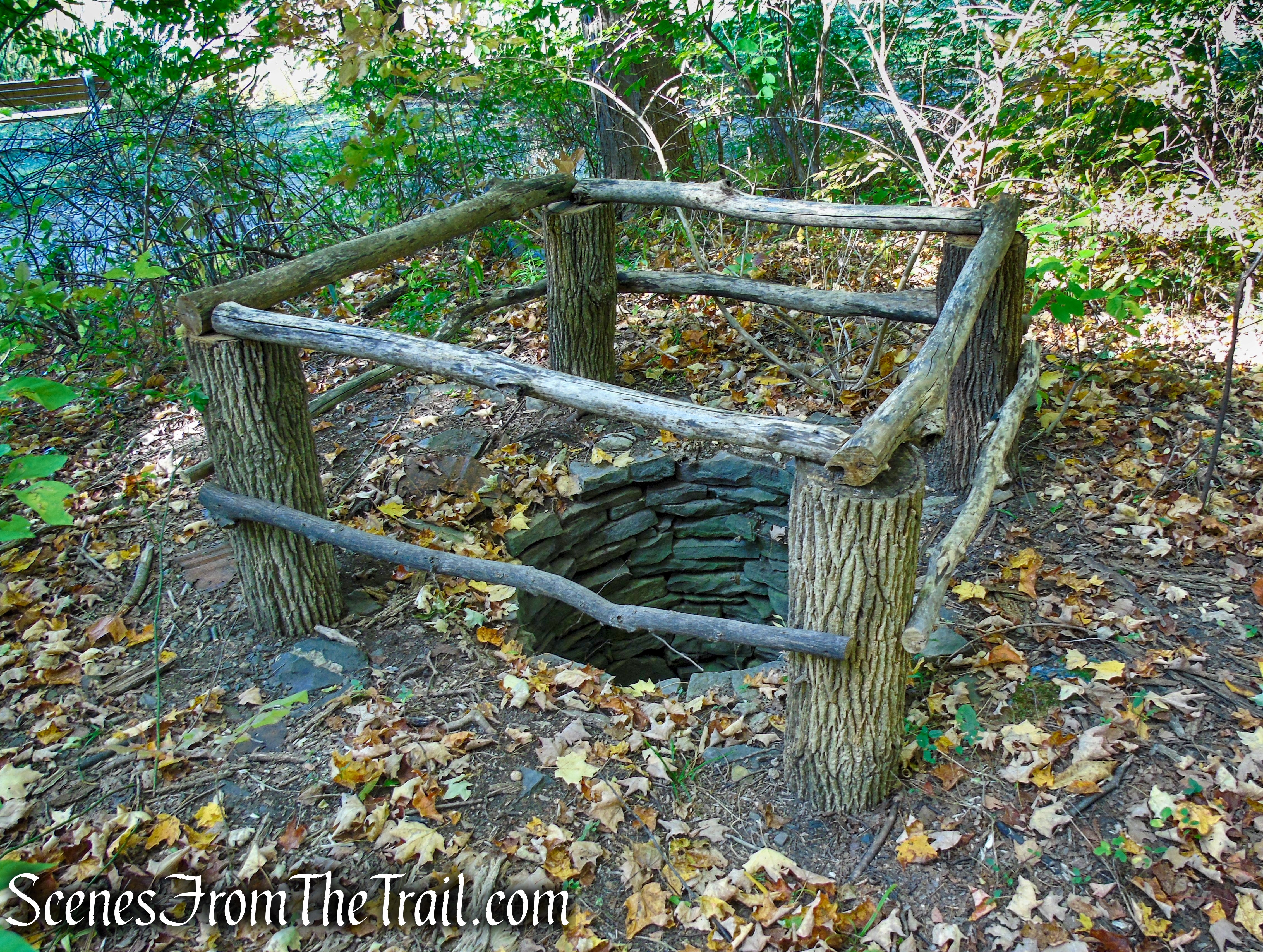 old well - Ferncliff Forest