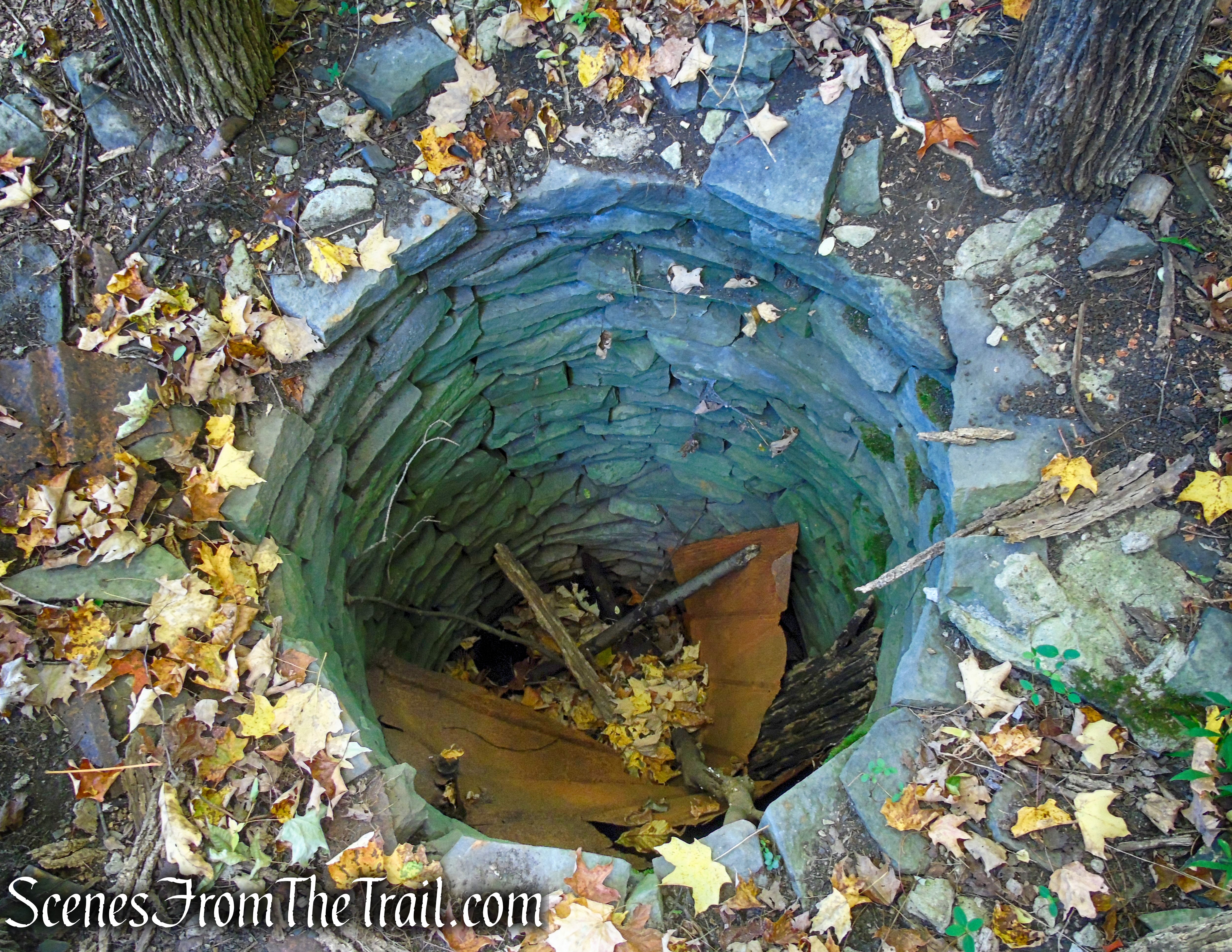 old well - Ferncliff Forest