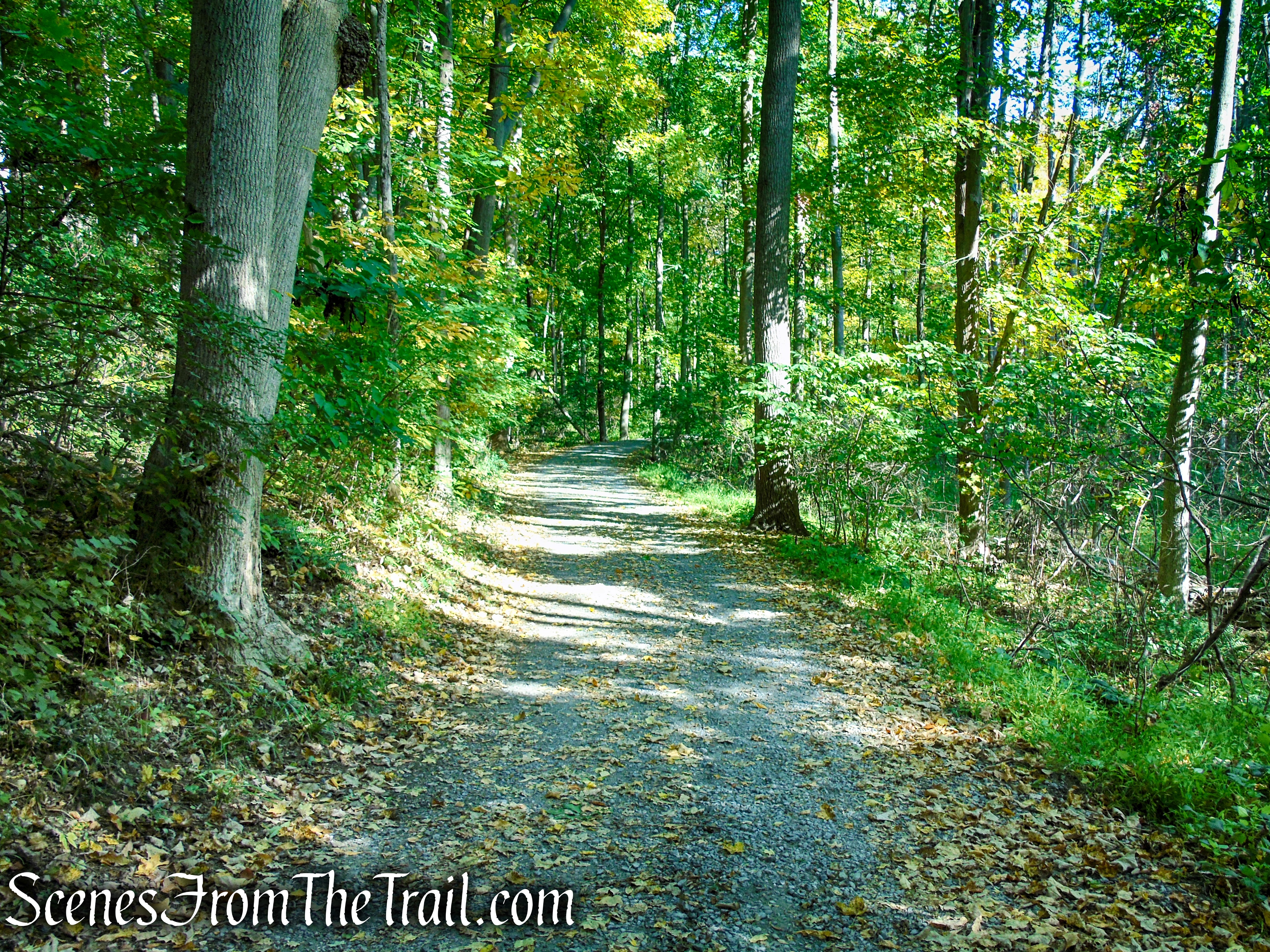 Yellow Circle Trail - Ferncliff Forest