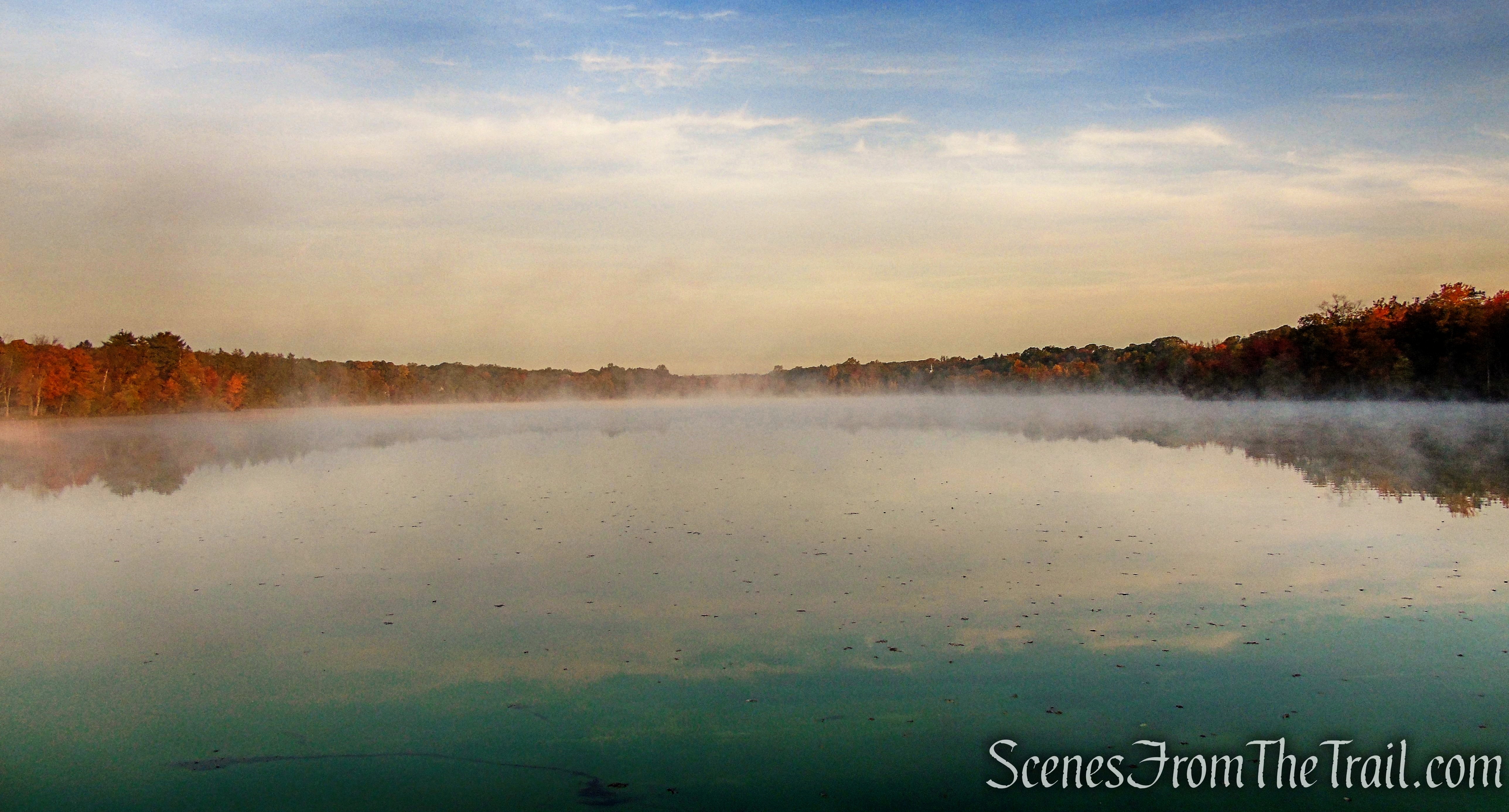 Shoreline Loop Trail - Franklin Lakes Nature Preserve