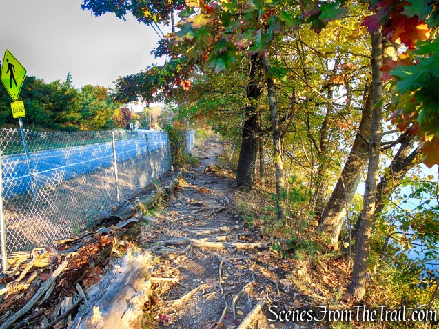 Shoreline Loop Trail - Franklin Lakes Nature Preserve