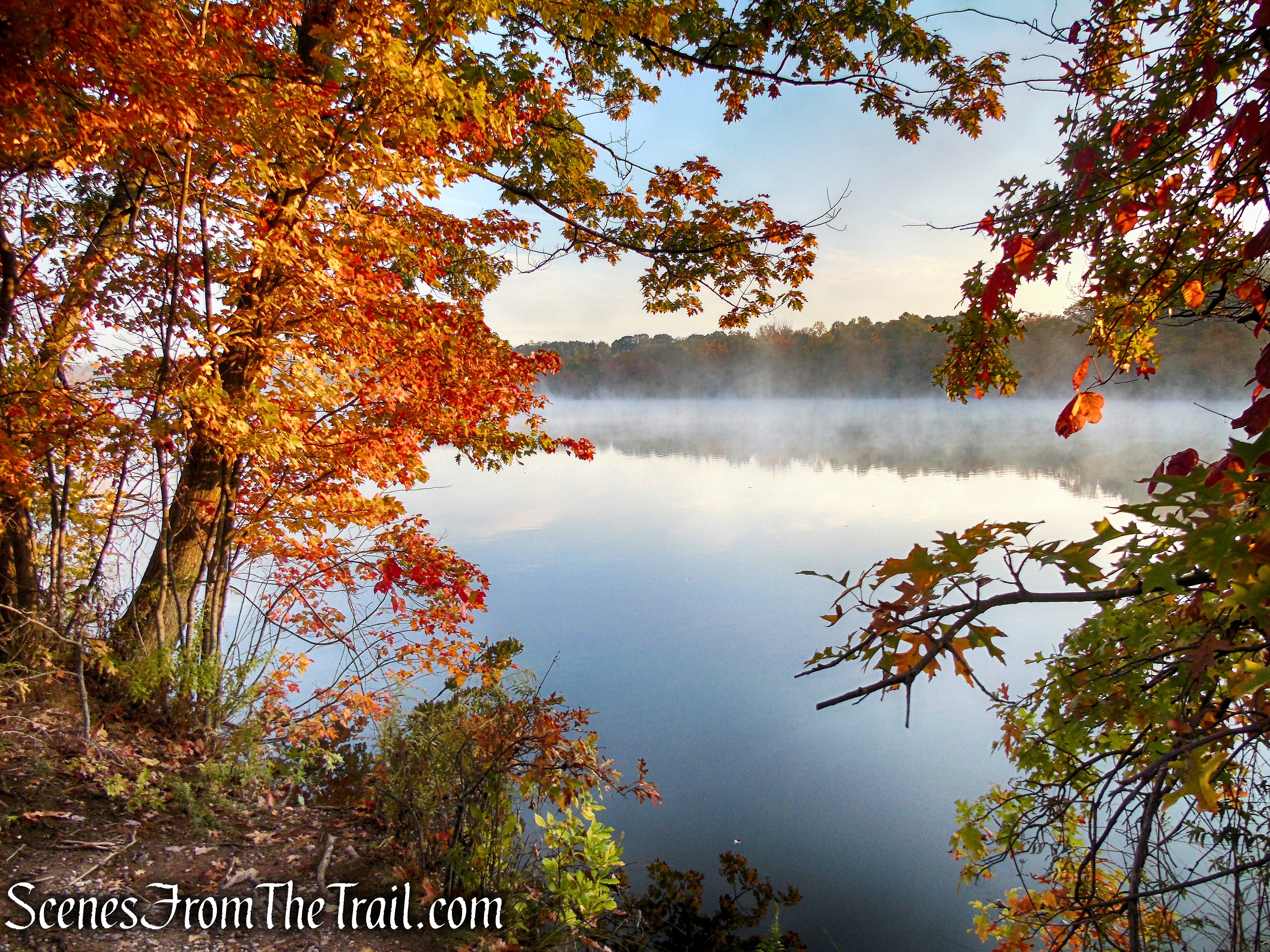 Shoreline Loop Trail - Franklin Lakes Nature Preserve