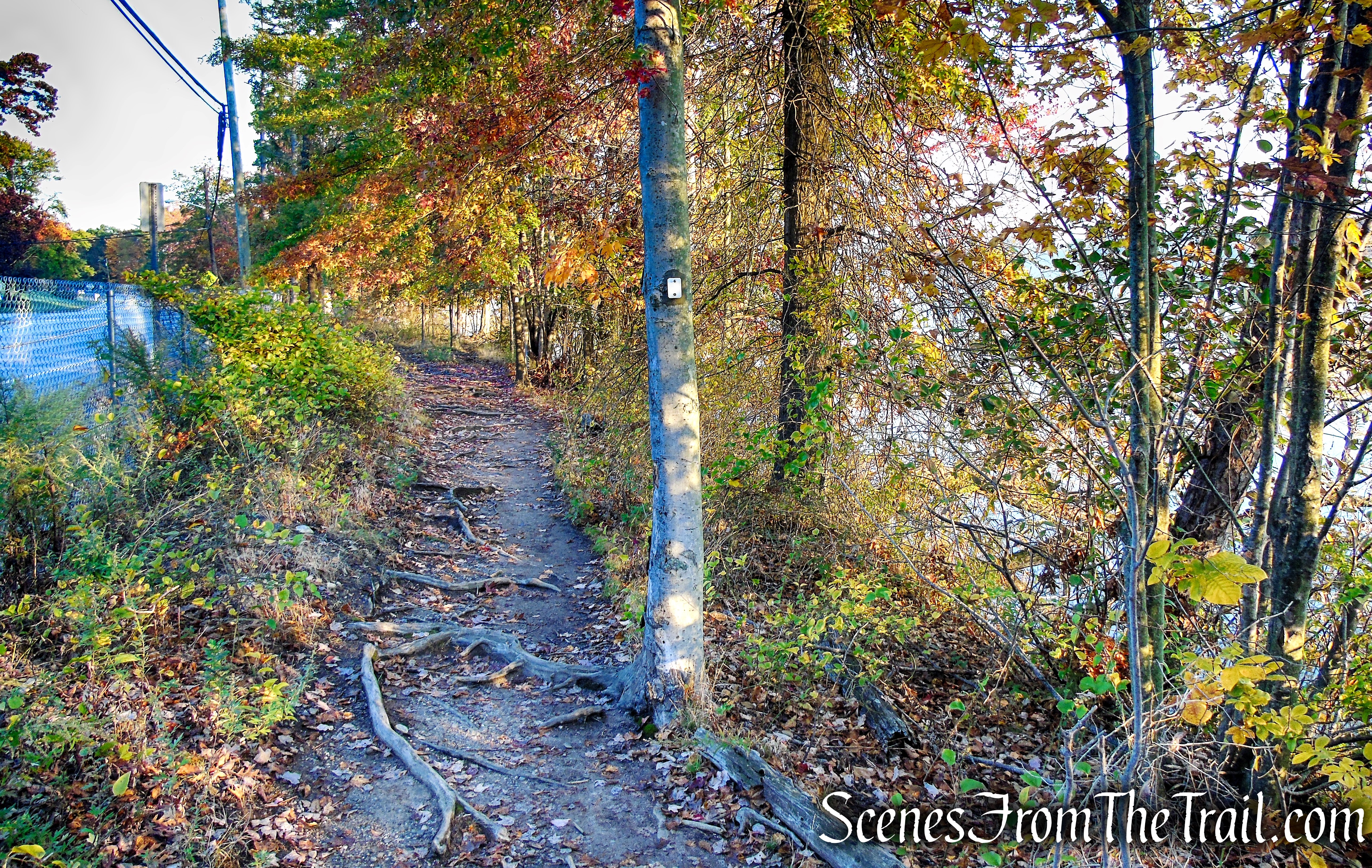 Shoreline Loop Trail - Franklin Lakes Nature Preserve