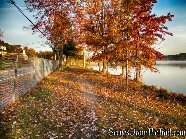 Shoreline Loop Trail - Franklin Lakes Nature Preserve