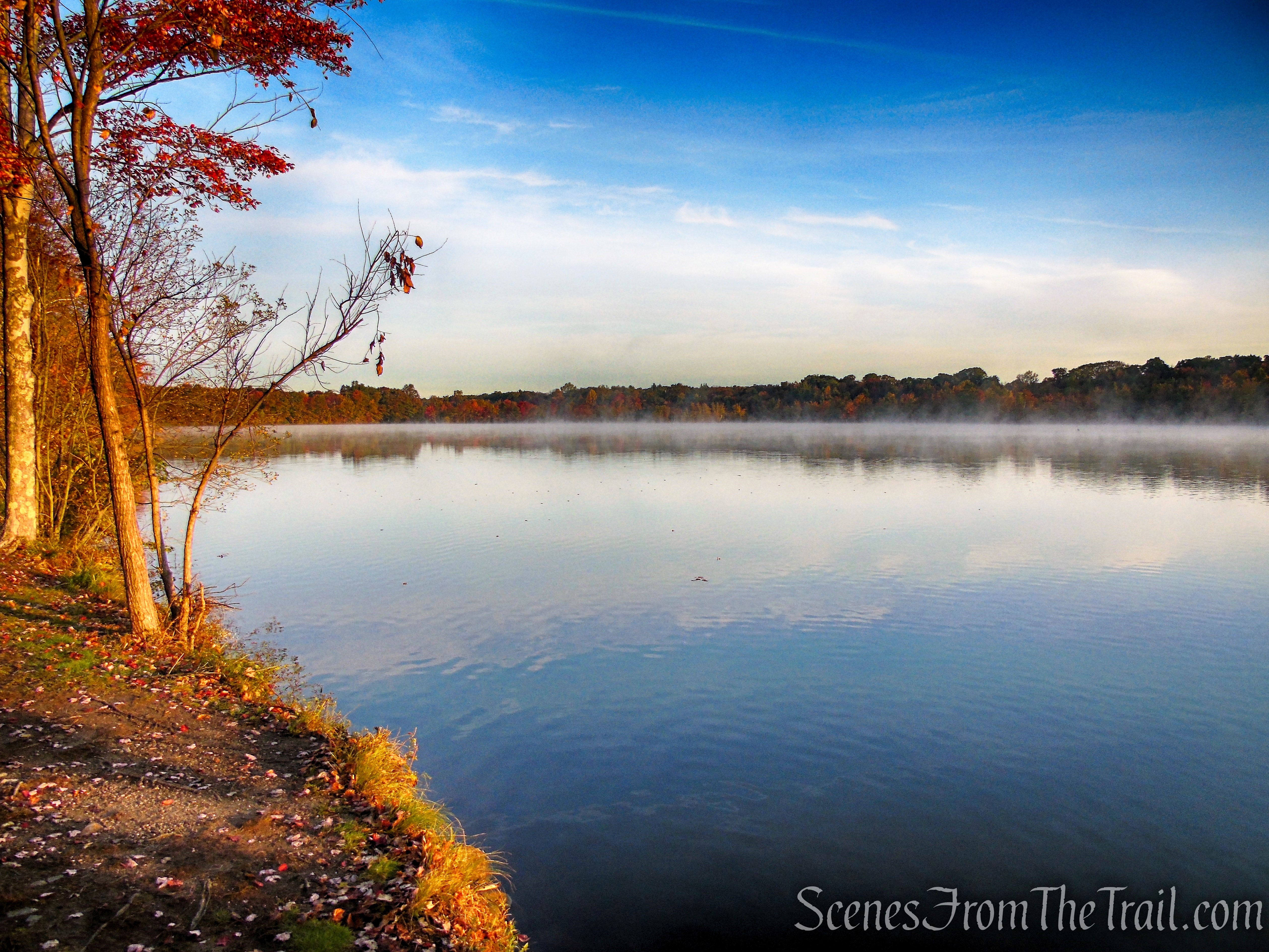 Shoreline Loop Trail - Franklin Lakes Nature Preserve