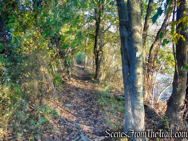 Shoreline Loop Trail - Franklin Lakes Nature Preserve