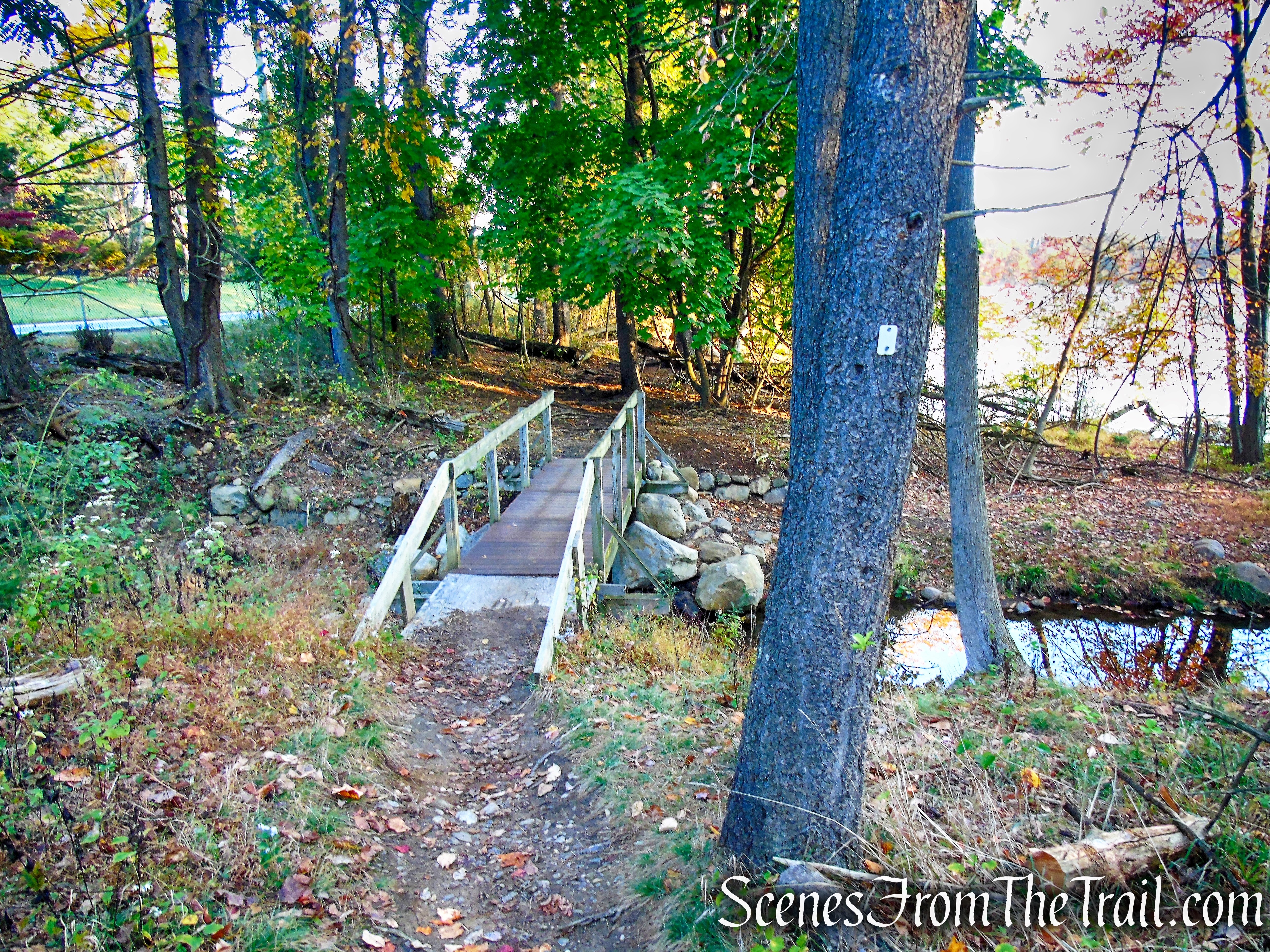 Shoreline Loop Trail - Franklin Lakes Nature Preserve