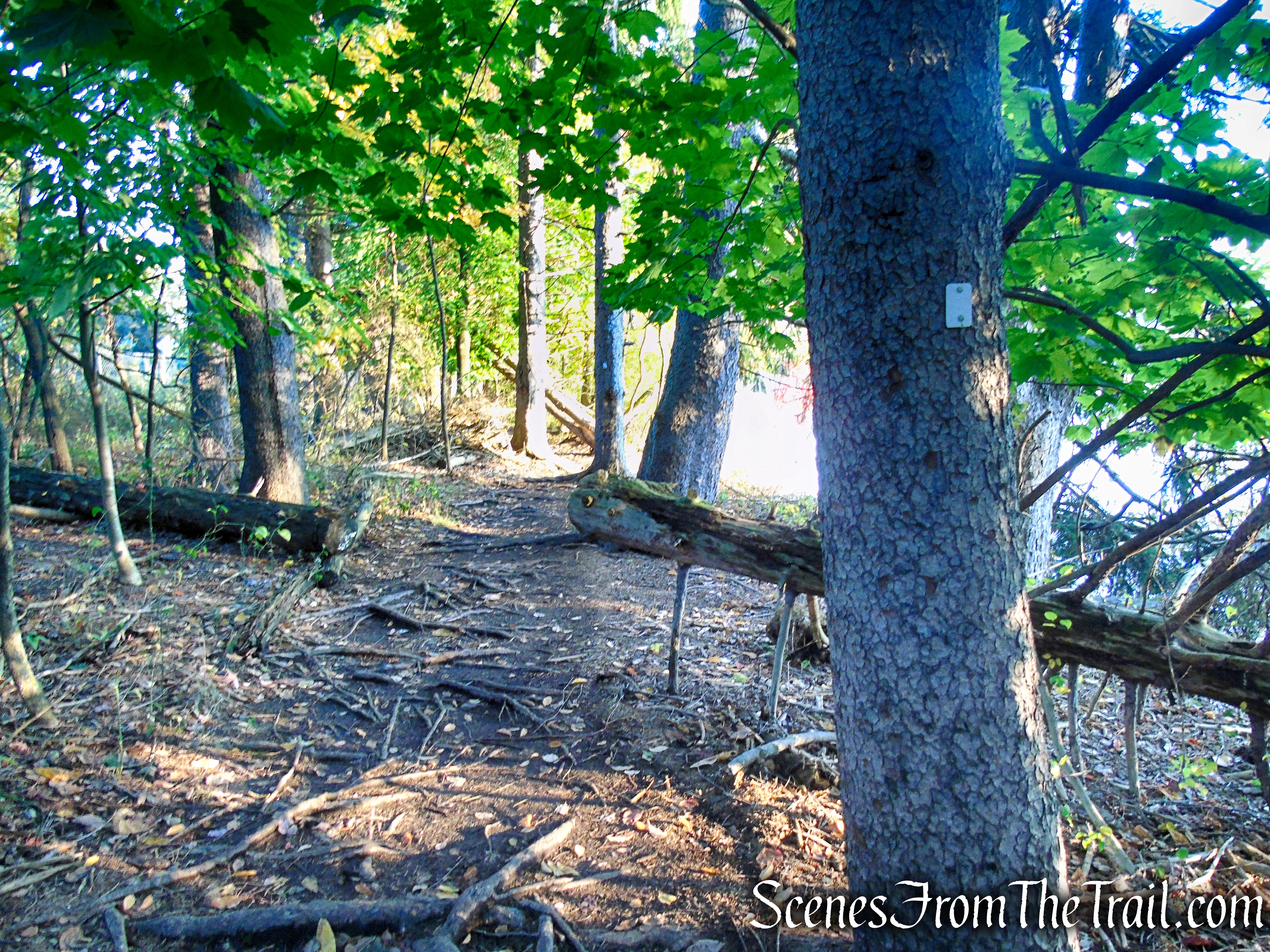 Shoreline Loop Trail - Franklin Lakes Nature Preserve
