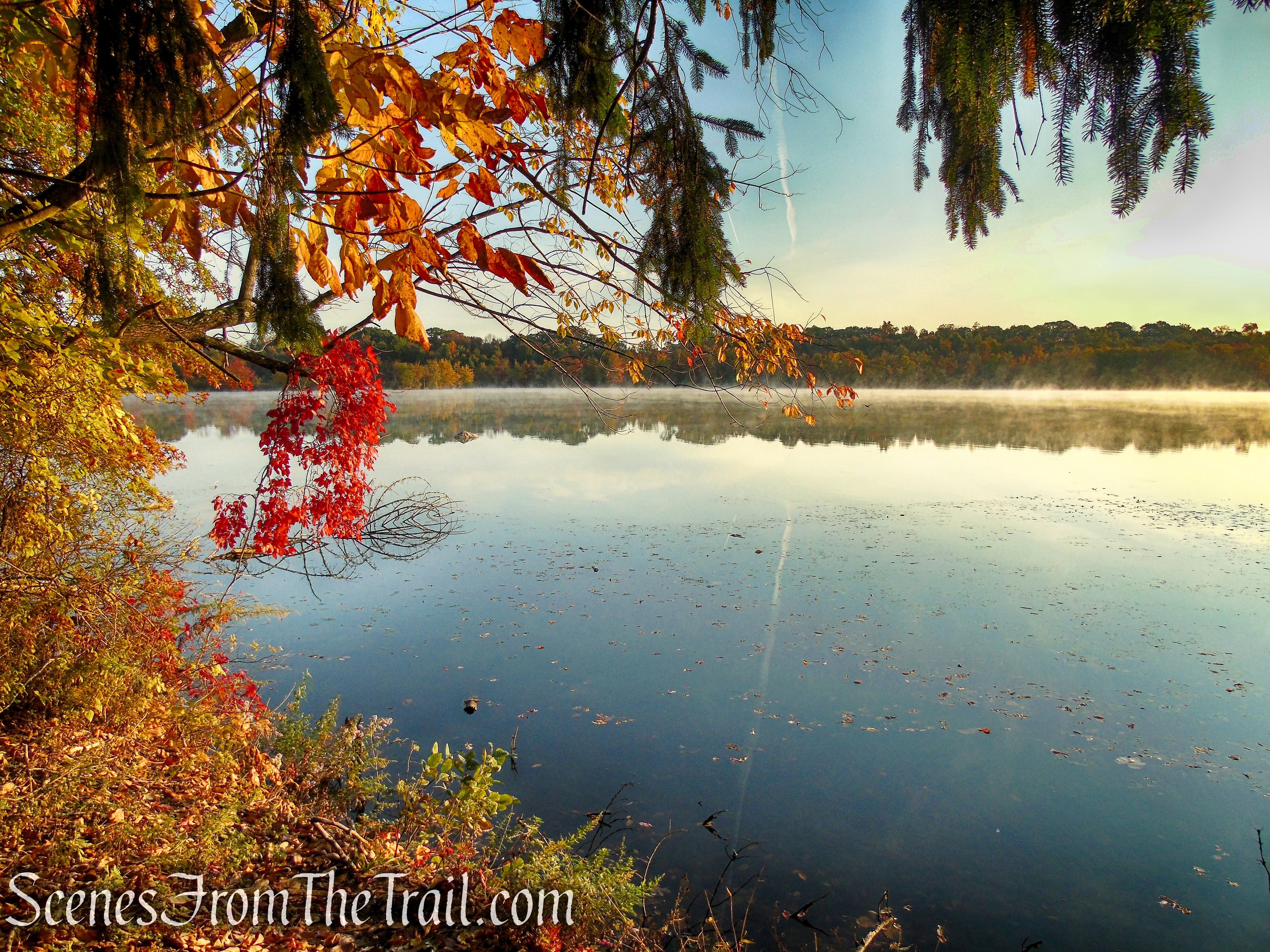 Shoreline Loop Trail - Franklin Lakes Nature Preserve
