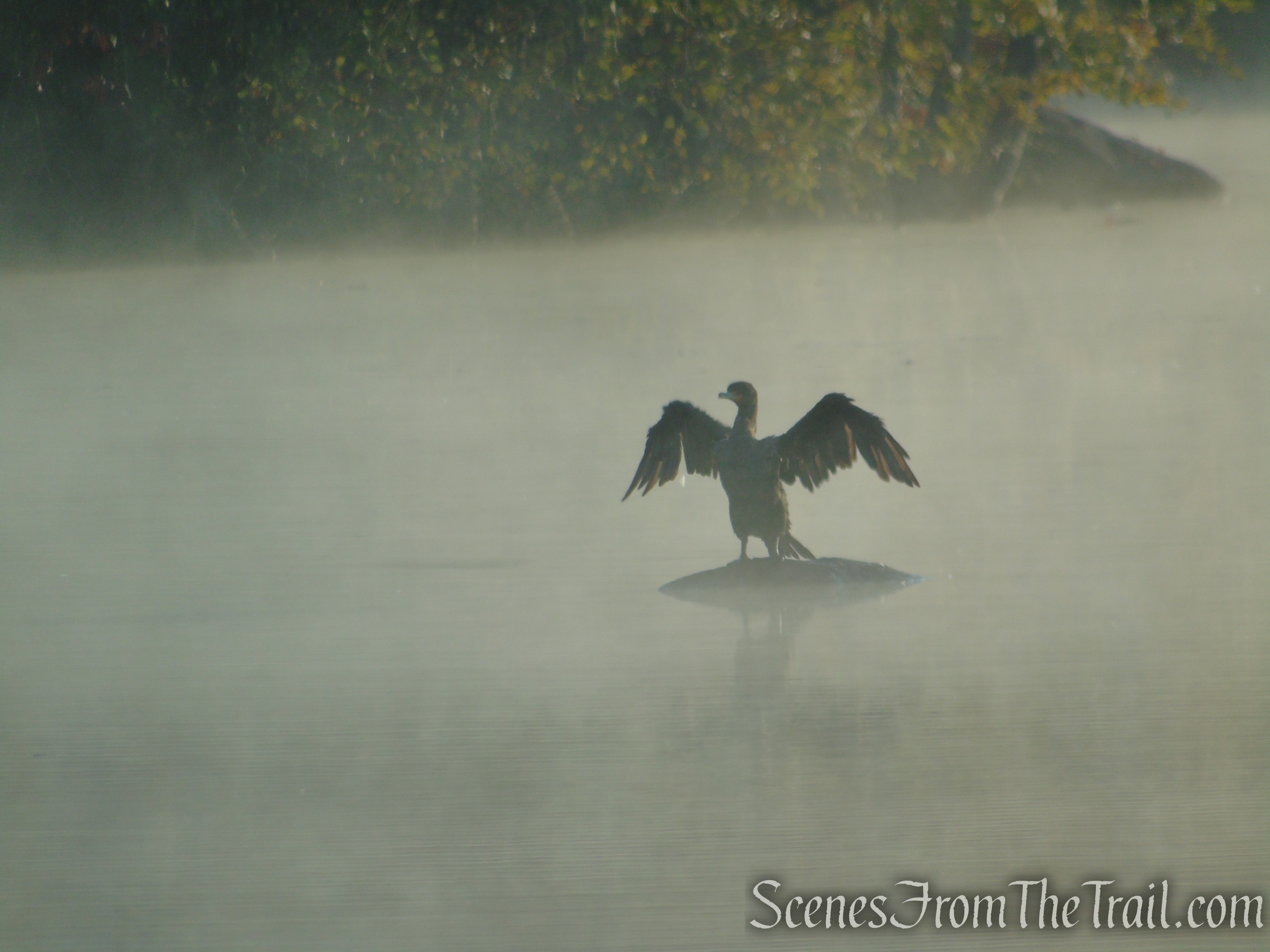 Shoreline Loop Trail - Franklin Lakes Nature Preserve