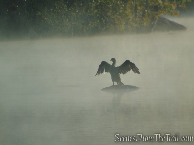 Shoreline Loop Trail - Franklin Lakes Nature Preserve
