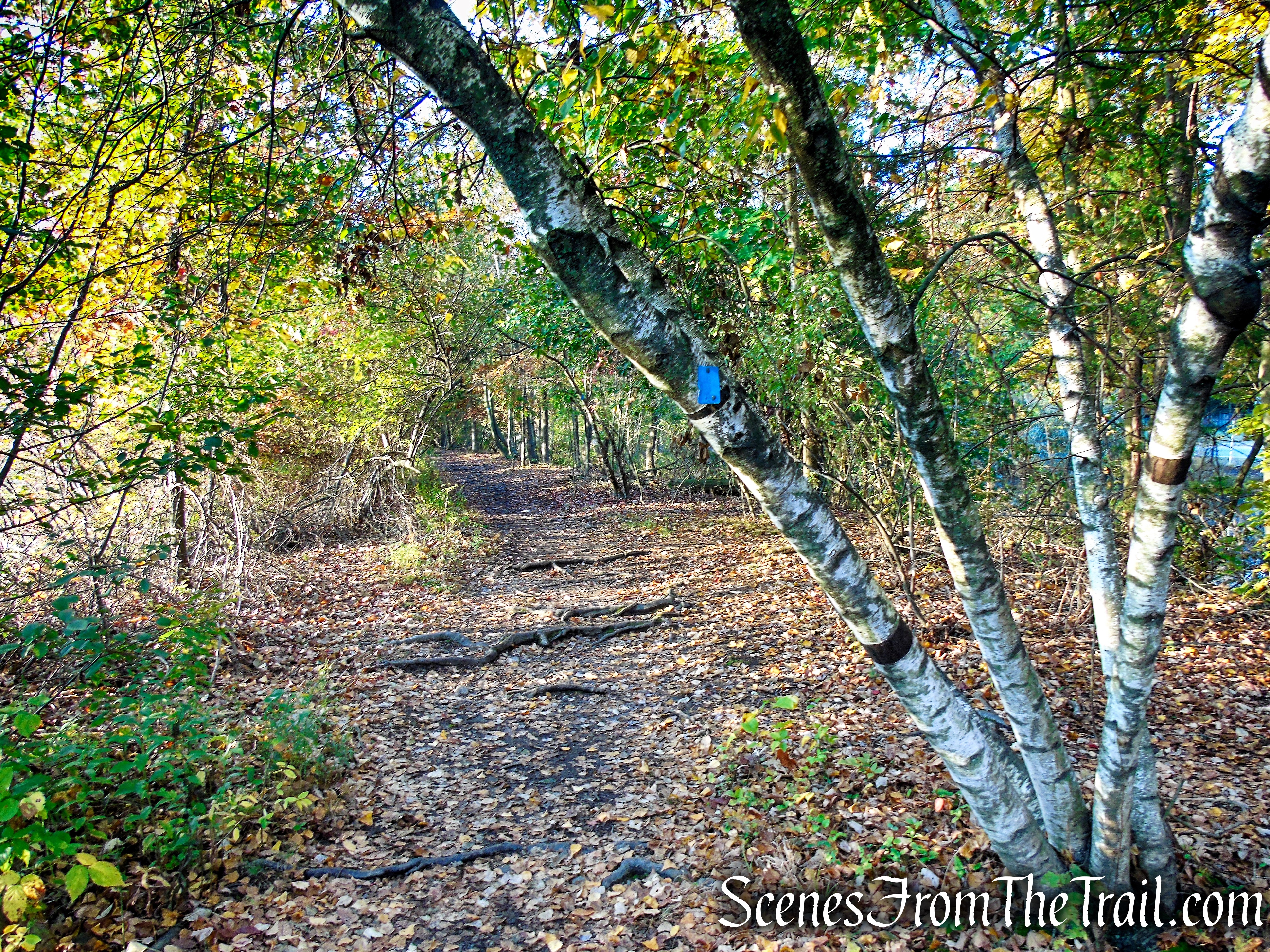 Island Bridges Trail - Franklin Lakes Nature Preserve
