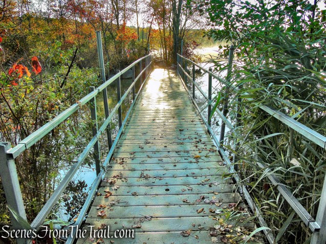 Island Bridges Trail - Franklin Lakes Nature Preserve