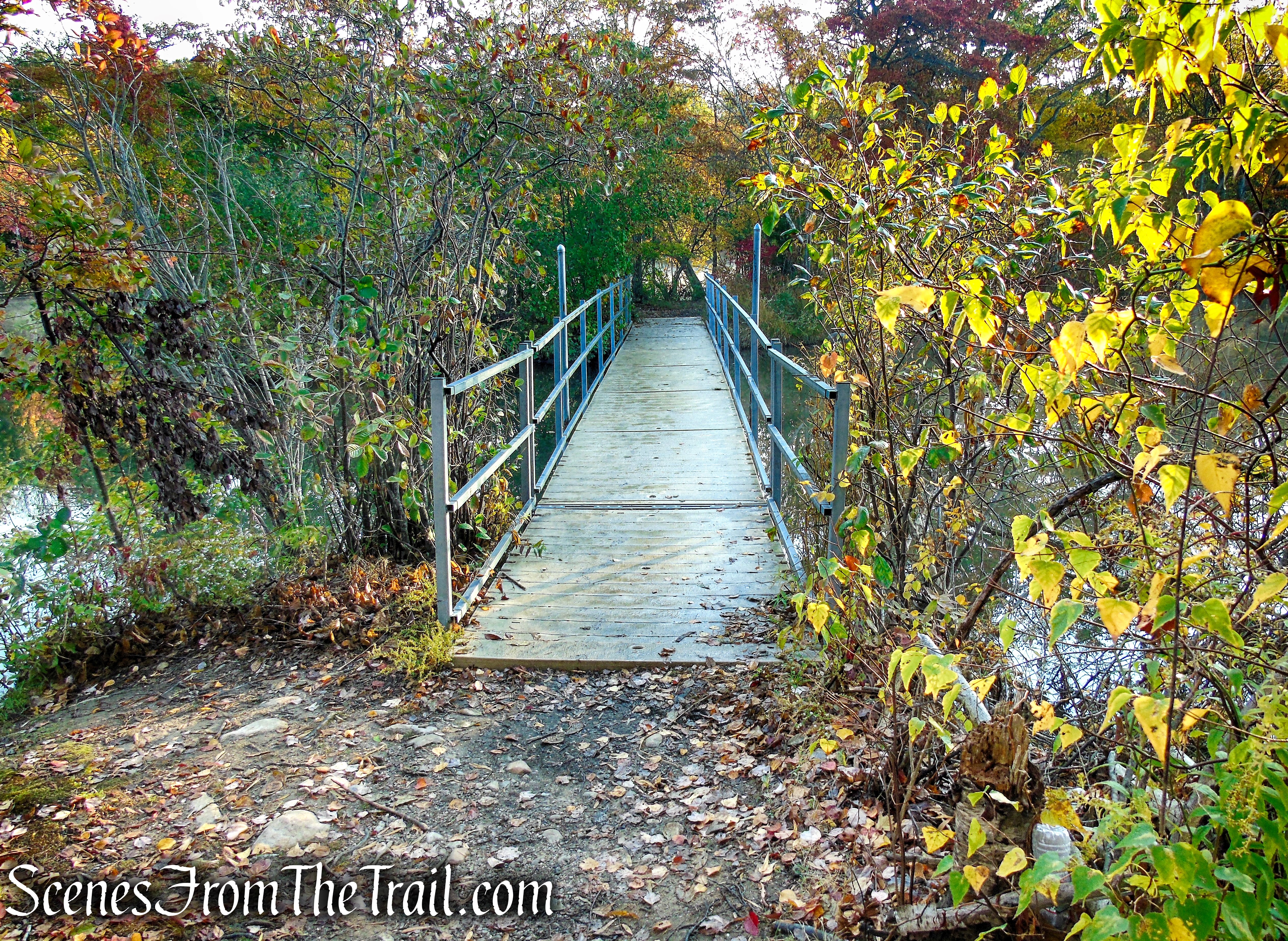 Island Bridges Trail - Franklin Lakes Nature Preserve