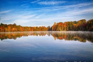 Island Bridges Trail - Franklin Lakes Nature Preserve