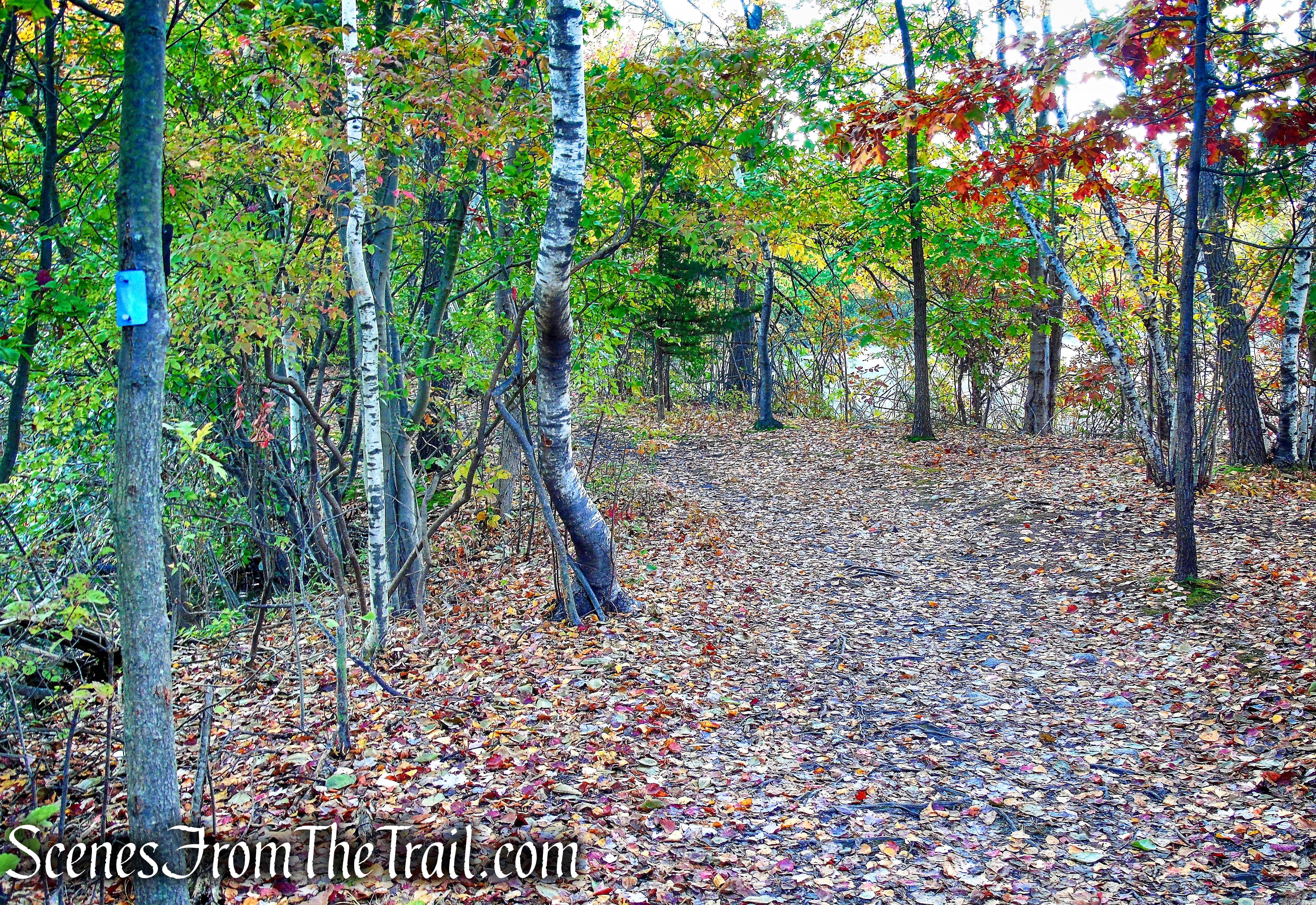 Island Bridges Trail - Franklin Lakes Nature Preserve