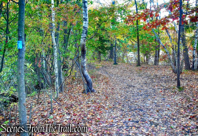 Island Bridges Trail - Franklin Lakes Nature Preserve
