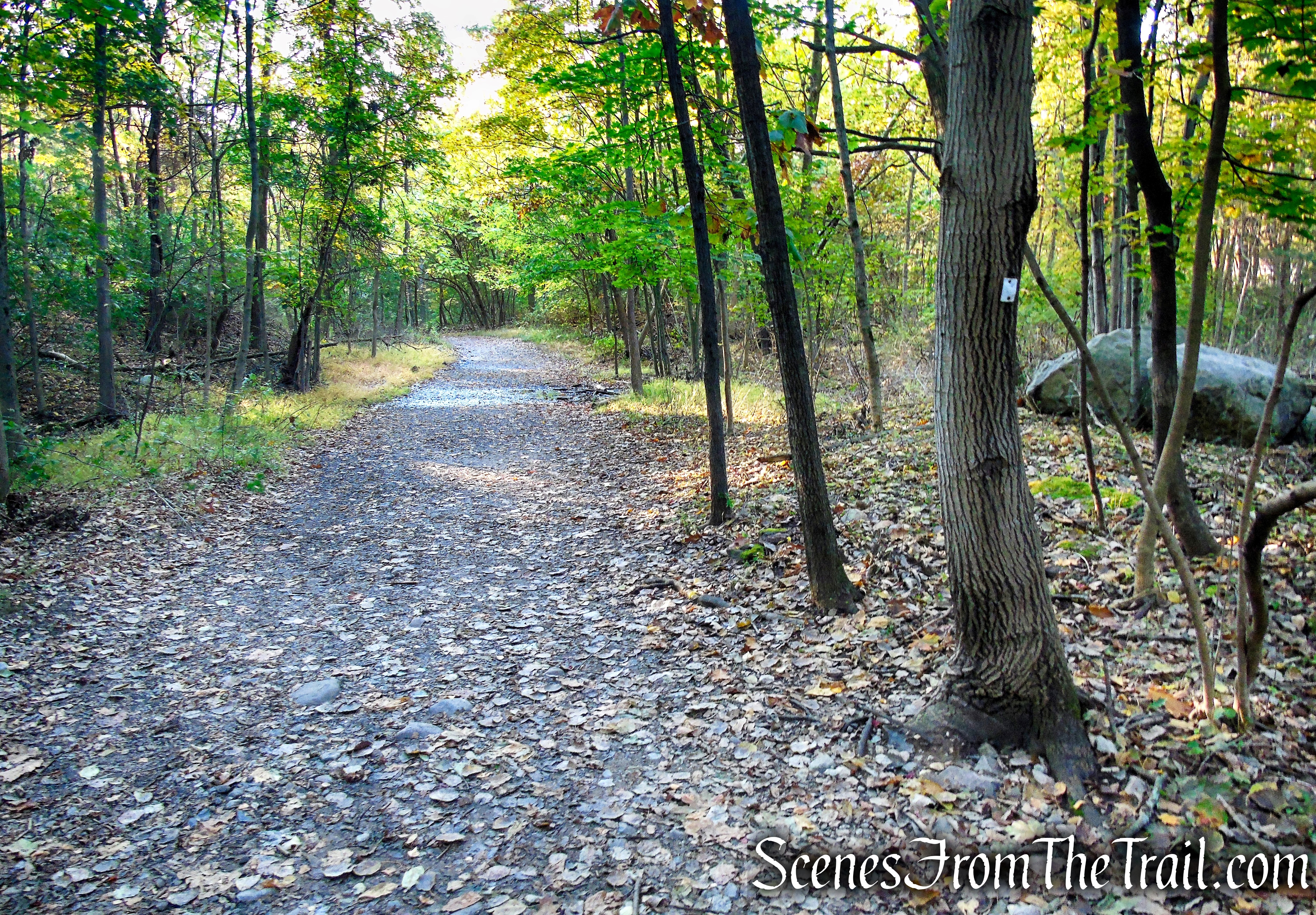 Shoreline Loop Trail - Franklin Lakes Nature Preserve