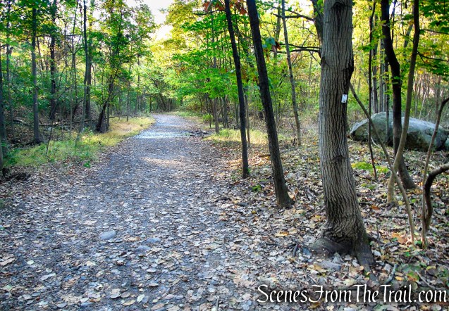 Shoreline Loop Trail - Franklin Lakes Nature Preserve