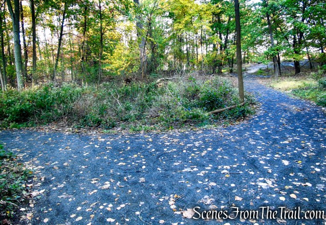 Accessible Trail - Franklin Lakes Nature Preserve