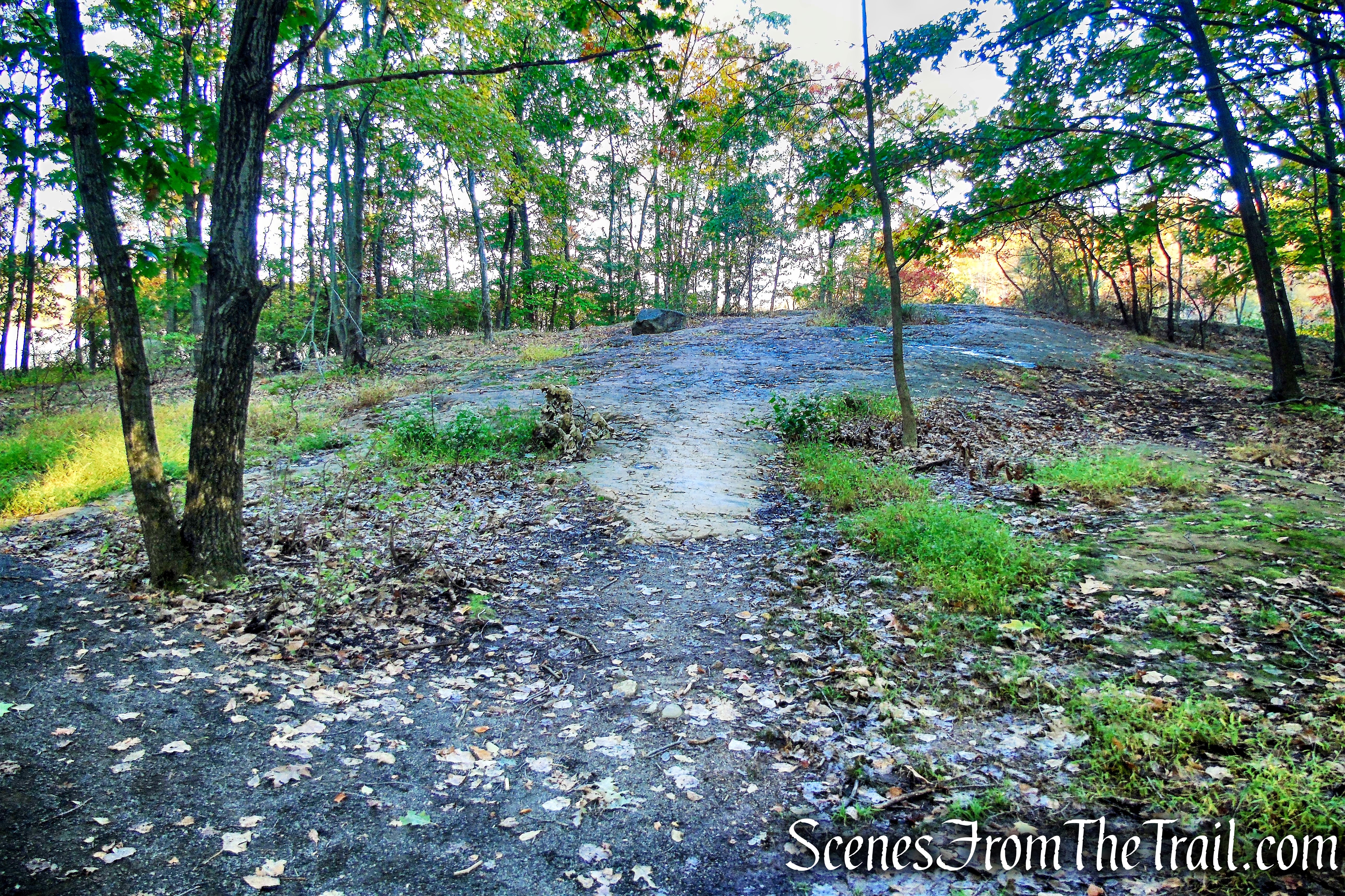 expanse of basalt rock along the Accessible Trail