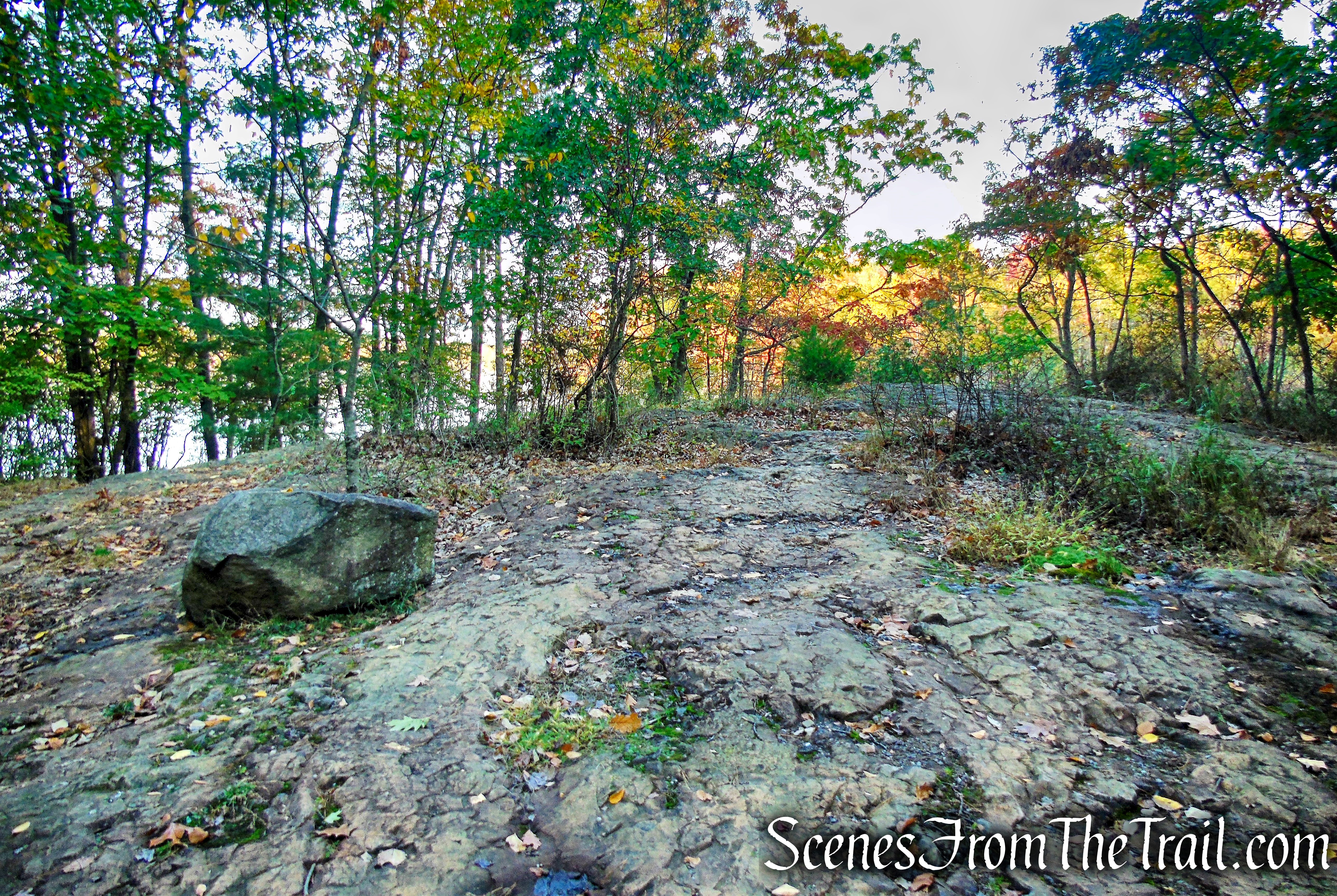expanse of basalt rock along the Accessible Trail